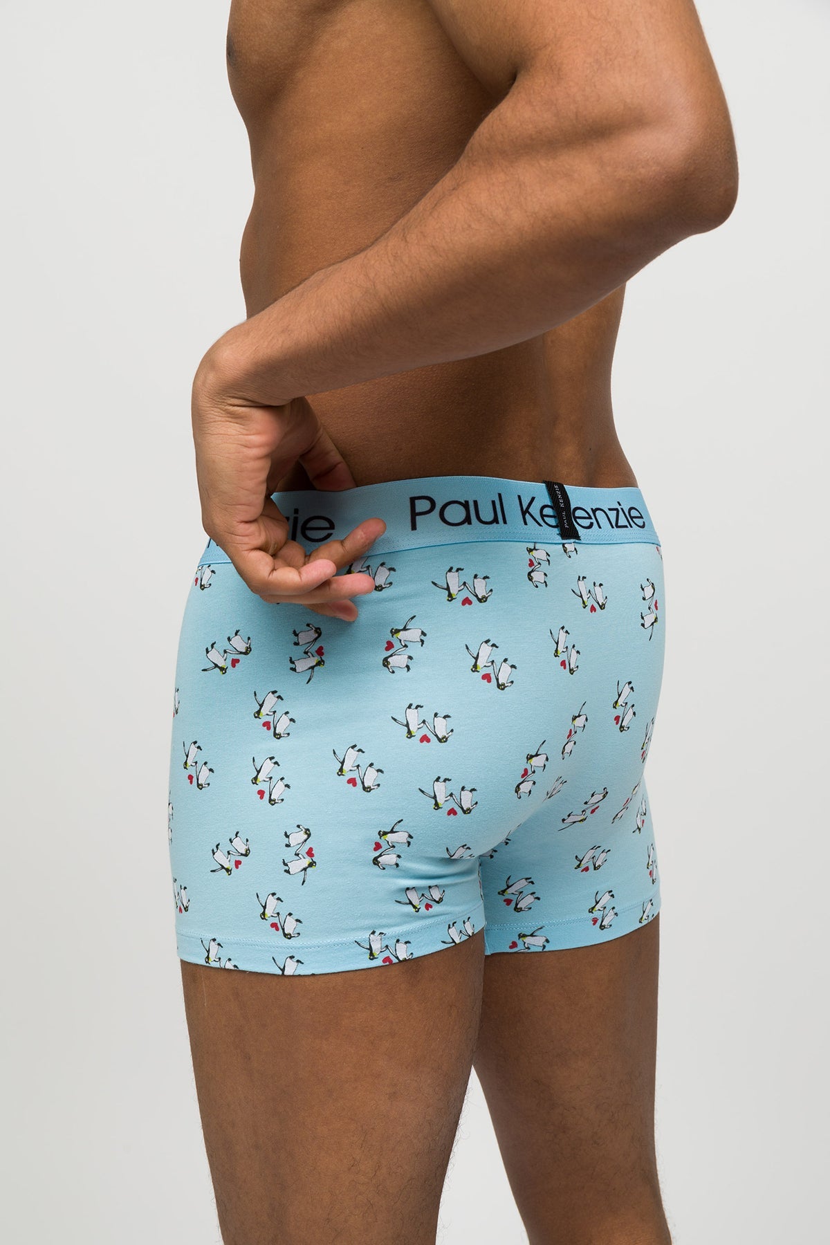 Paul Kenzie-Desenli Erkek Boxer Couple Collection Penguin Love-Boxer-5-Milagron.com