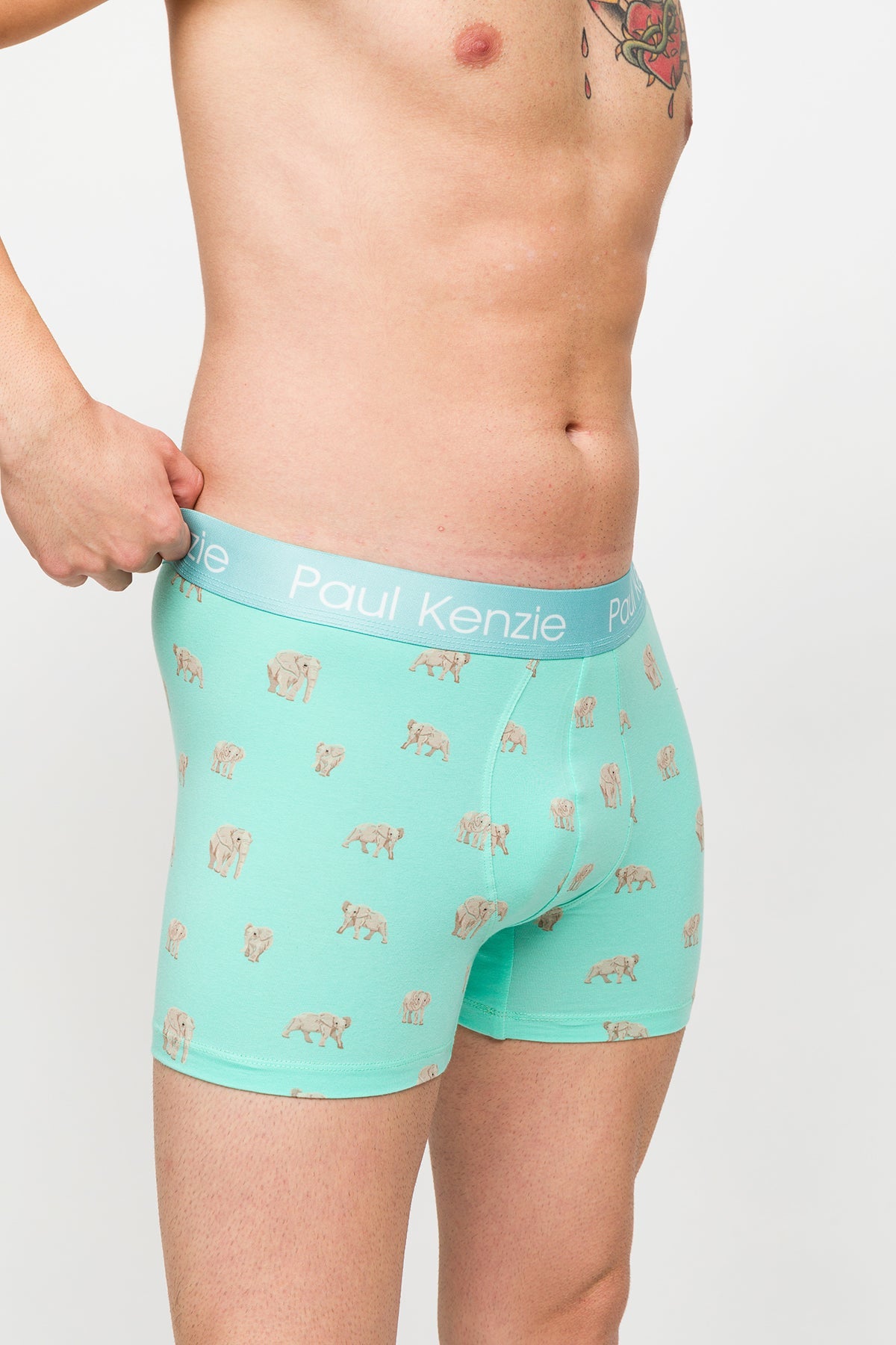 Paul Kenzie-Desenli Erkek Boxer – Eco Characters – Elephantastic-Boxer-5-Milagron.com