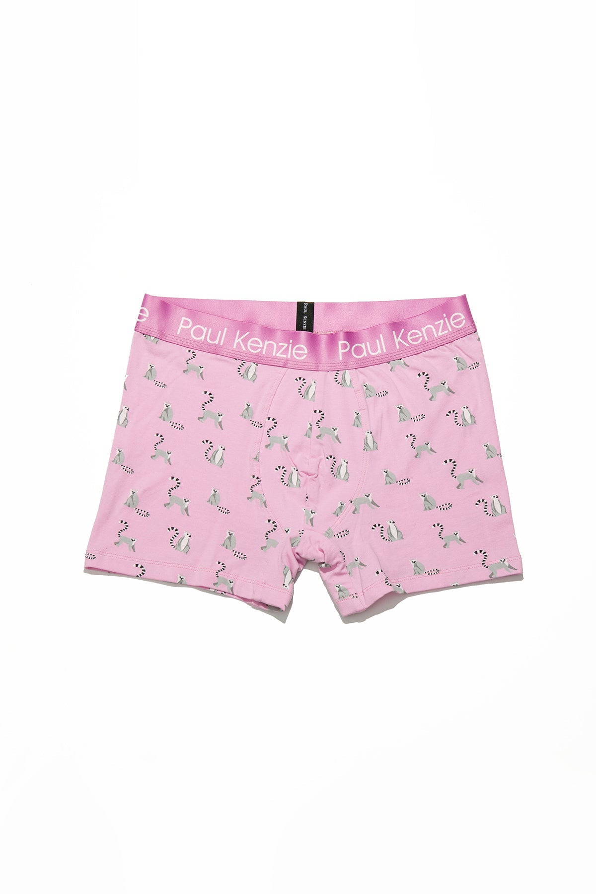 Paul Kenzie-Desenli Erkek Boxer – Eco Characters – Lemur-Boxer-2-Milagron.com
