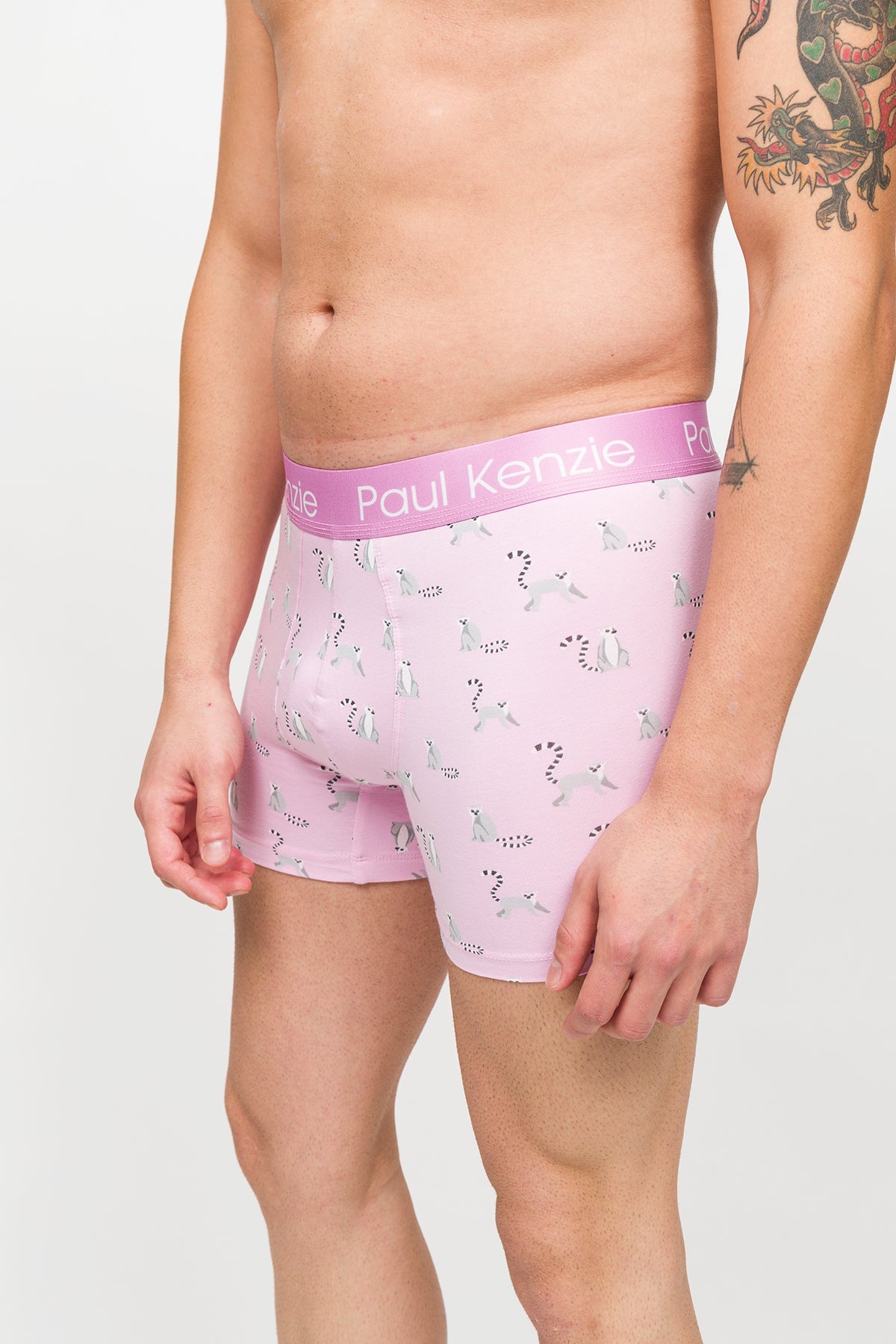 Paul Kenzie-Desenli Erkek Boxer – Eco Characters – Lemur-Boxer-5-Milagron.com