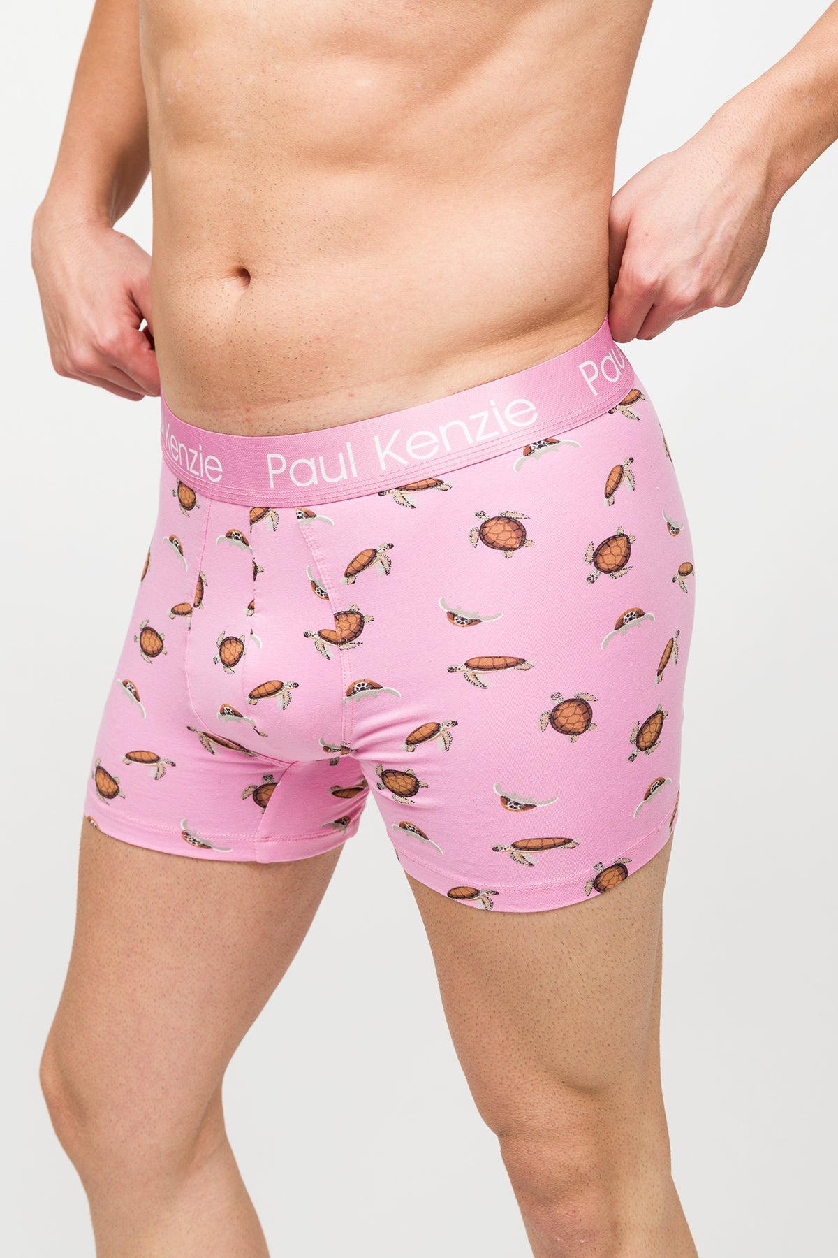 Paul Kenzie-Desenli Erkek Boxer – Eco Characters – Turtley-Boxer-5-Milagron.com