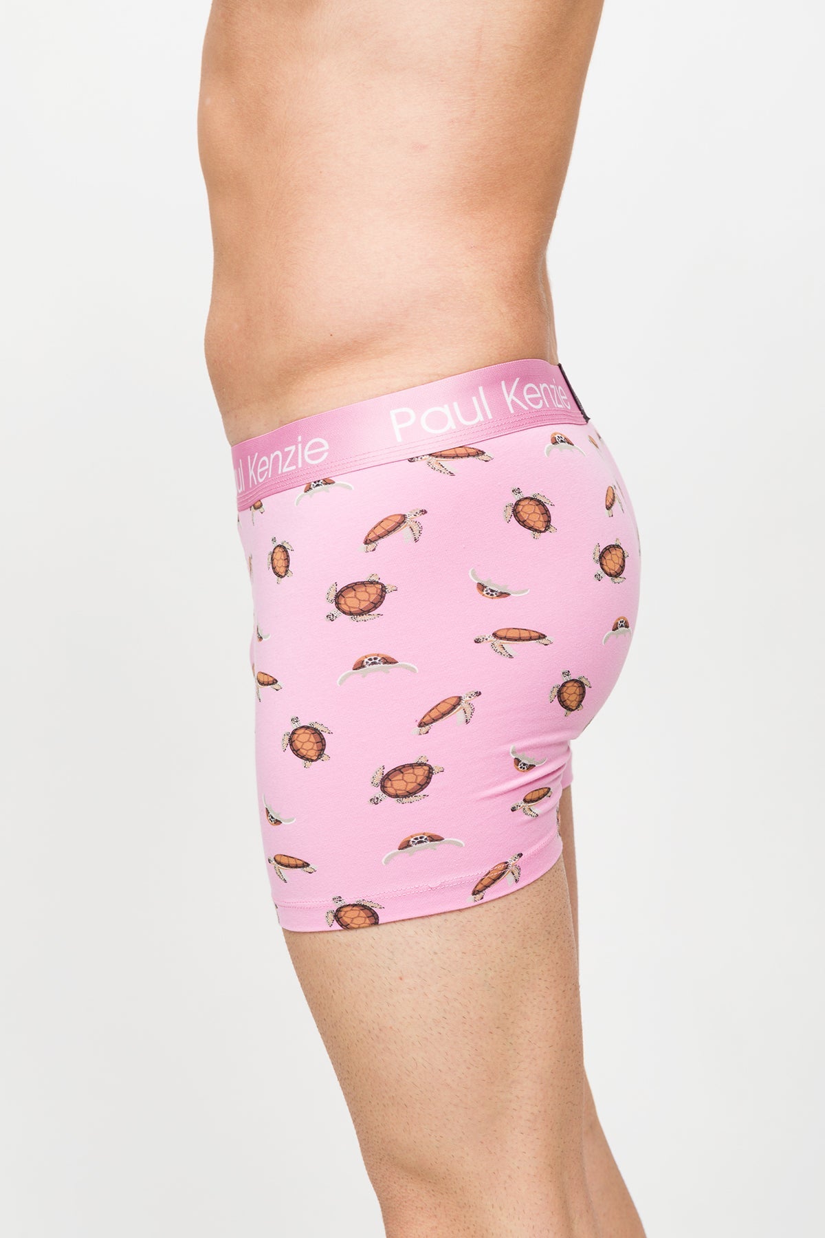 Paul Kenzie-Desenli Erkek Boxer – Eco Characters – Turtley-Boxer-6-Milagron.com