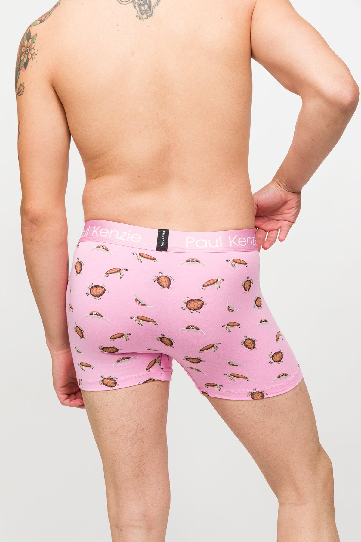 Paul Kenzie-Desenli Erkek Boxer – Eco Characters – Turtley-Boxer-7-Milagron.com