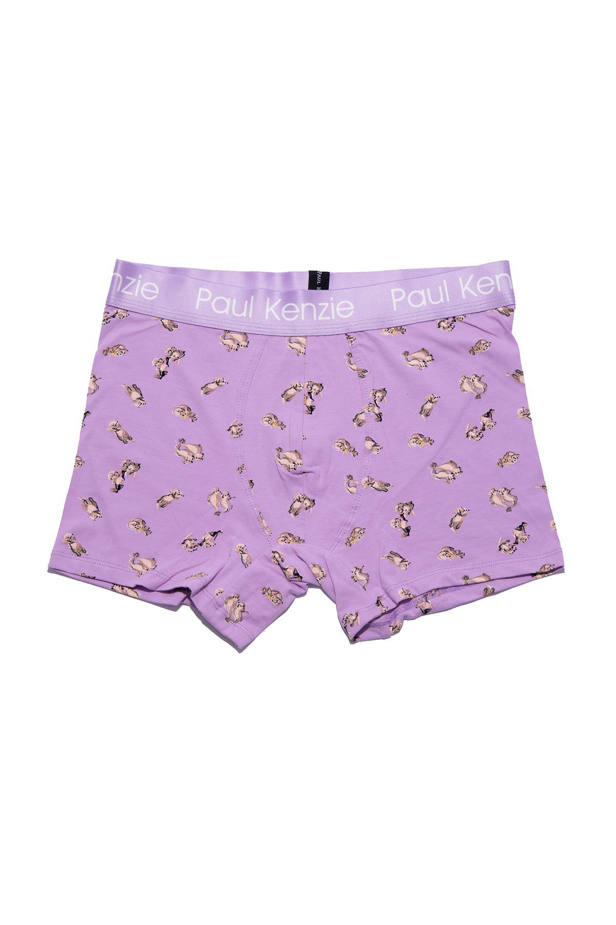 Paul Kenzie-Desenli Erkek Boxer Otter-Boxer-1-Milagron.com