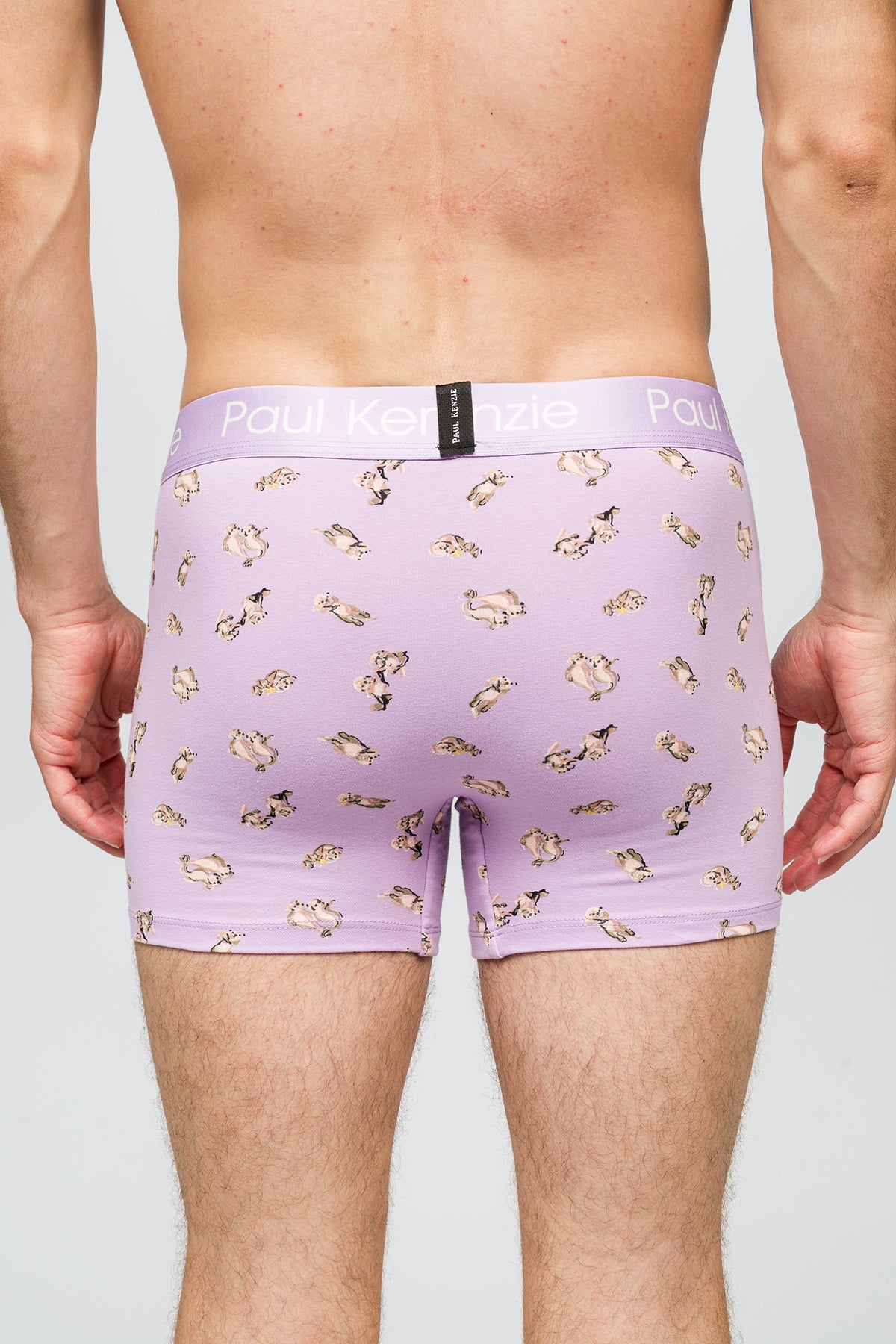 Paul Kenzie-Desenli Erkek Boxer Otter-Boxer-7-Milagron.com