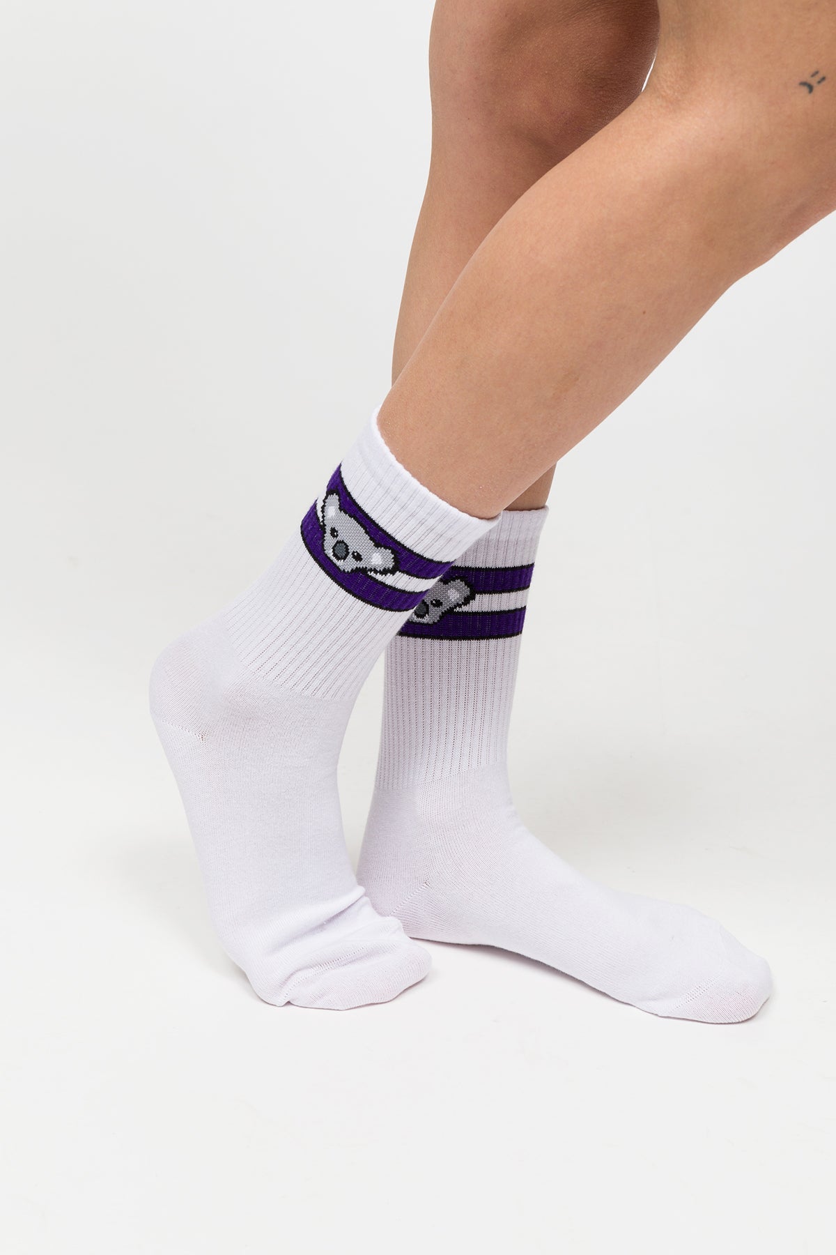 Paul Kenzie-Desenli Soket Çorap – Eco Characters – Koala-Çorap-4-Milagron.com