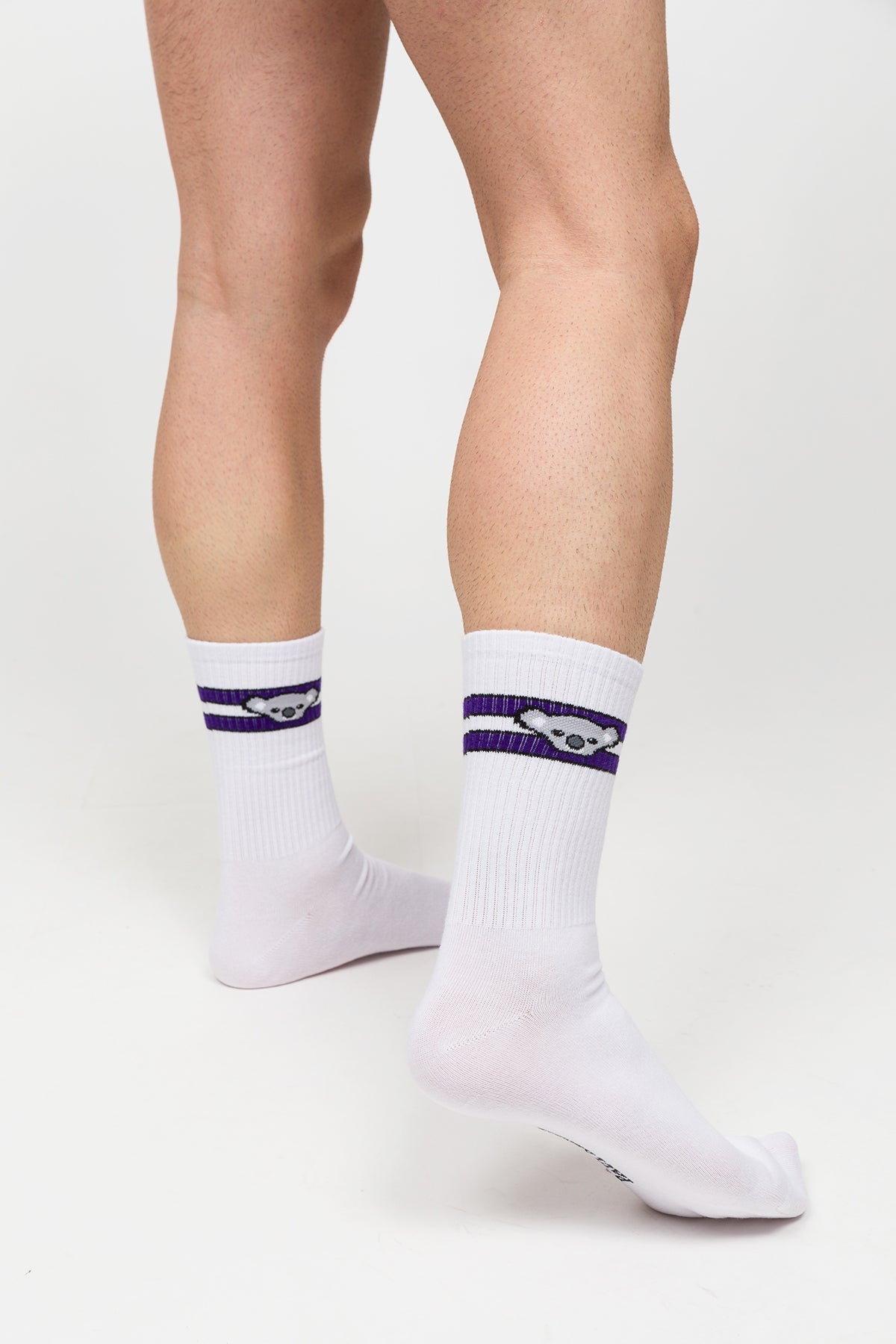 Paul Kenzie-Desenli Soket Çorap – Eco Characters – Koala-Çorap-7-Milagron.com