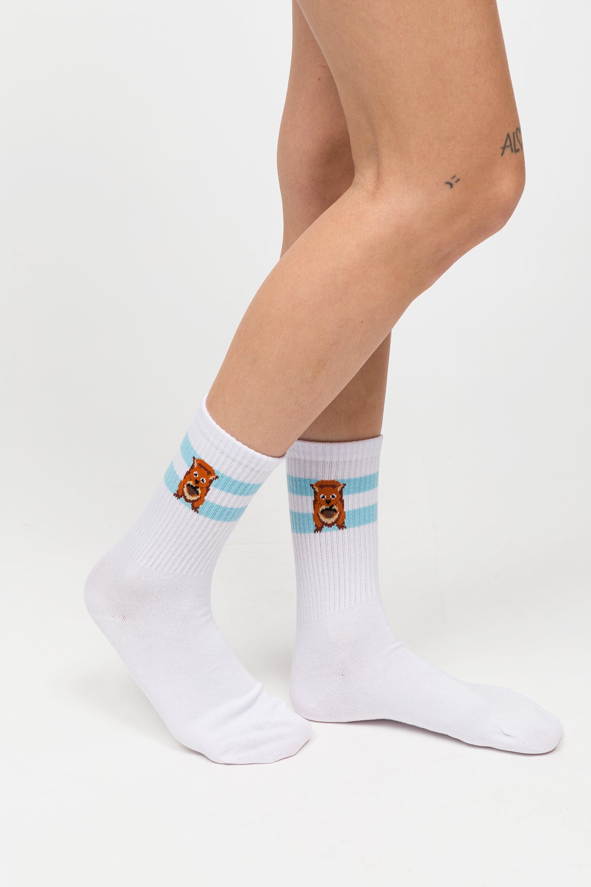 Paul Kenzie-Desenli Soket Çorap – Eco Characters – Squirrel-Çorap-4-Milagron.com