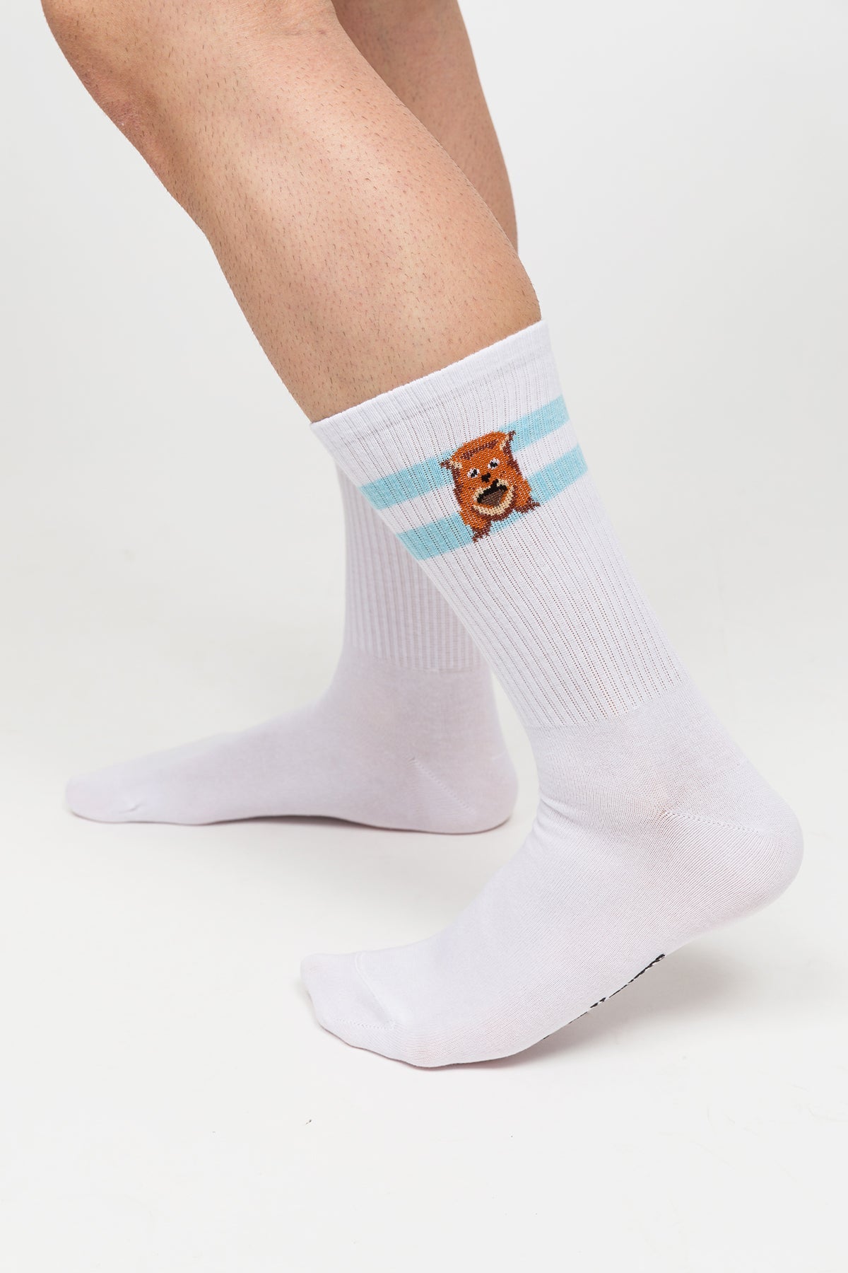 Paul Kenzie-Desenli Soket Çorap – Eco Characters – Squirrel-Çorap-6-Milagron.com