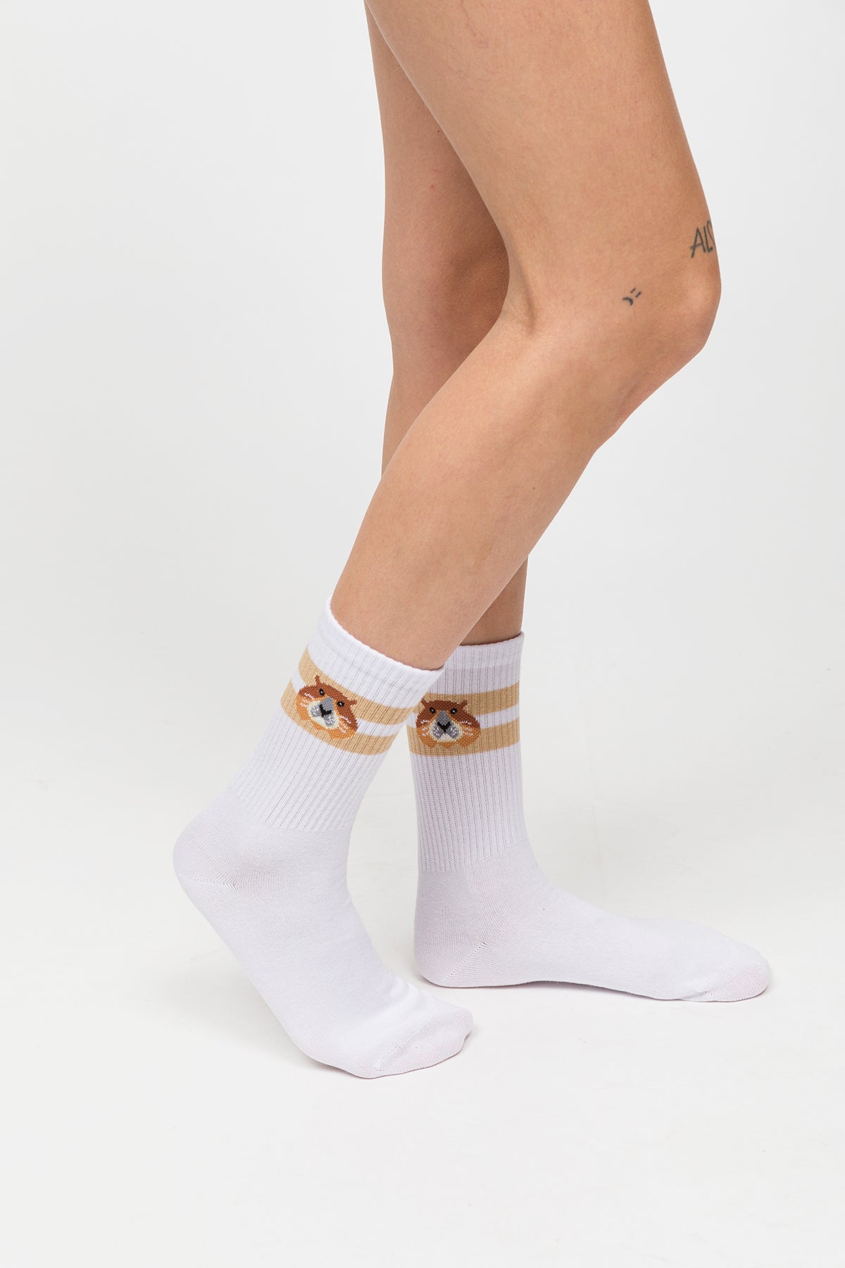 Paul Kenzie-Desenli Soket Çorap – Eco Characters – Woodchuck-Çorap-4-Milagron.com