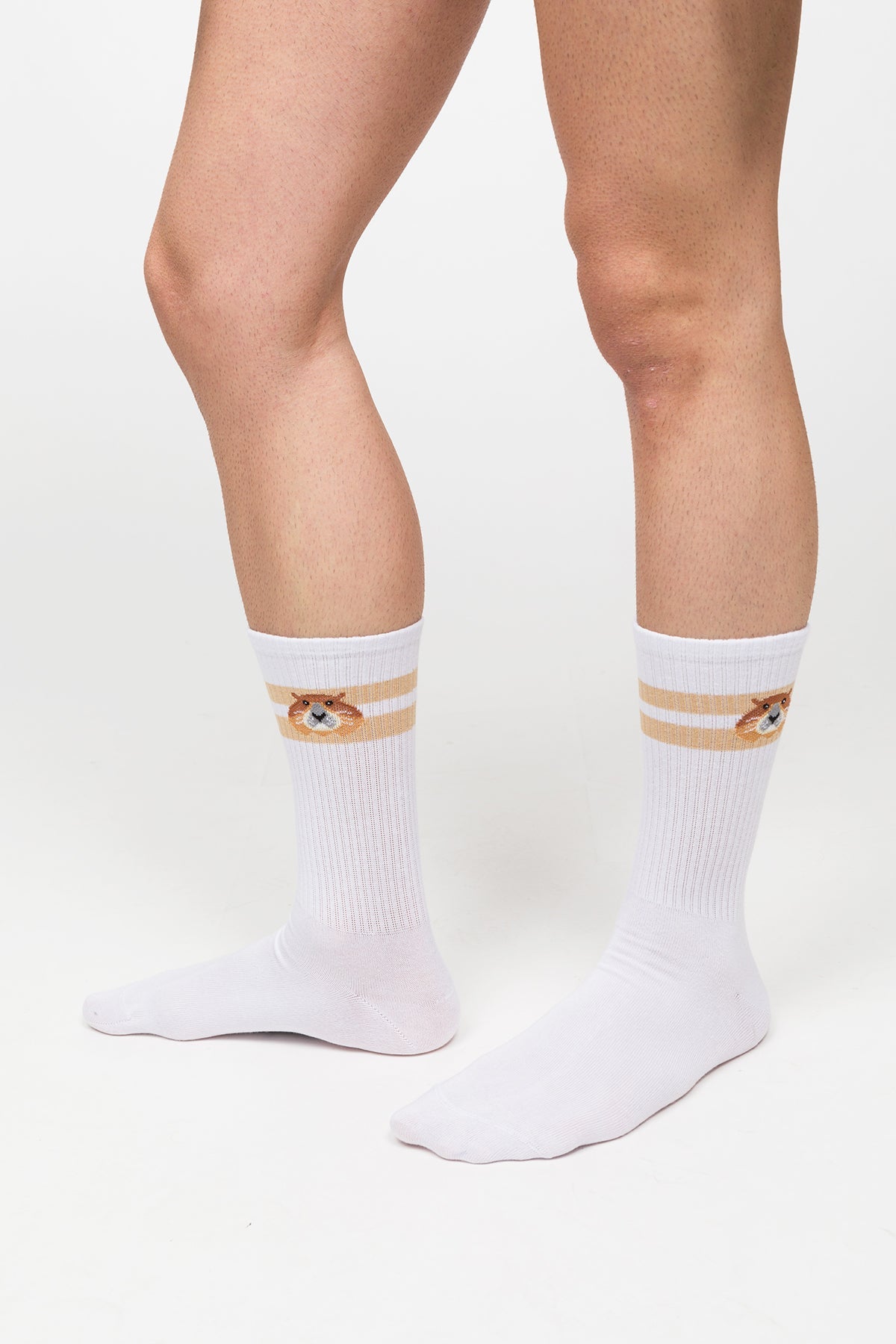 Paul Kenzie-Desenli Soket Çorap – Eco Characters – Woodchuck-Çorap-6-Milagron.com