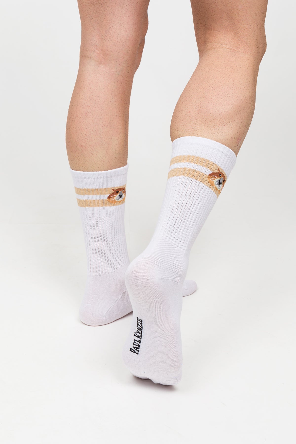 Paul Kenzie-Desenli Soket Çorap – Eco Characters – Woodchuck-Çorap-7-Milagron.com
