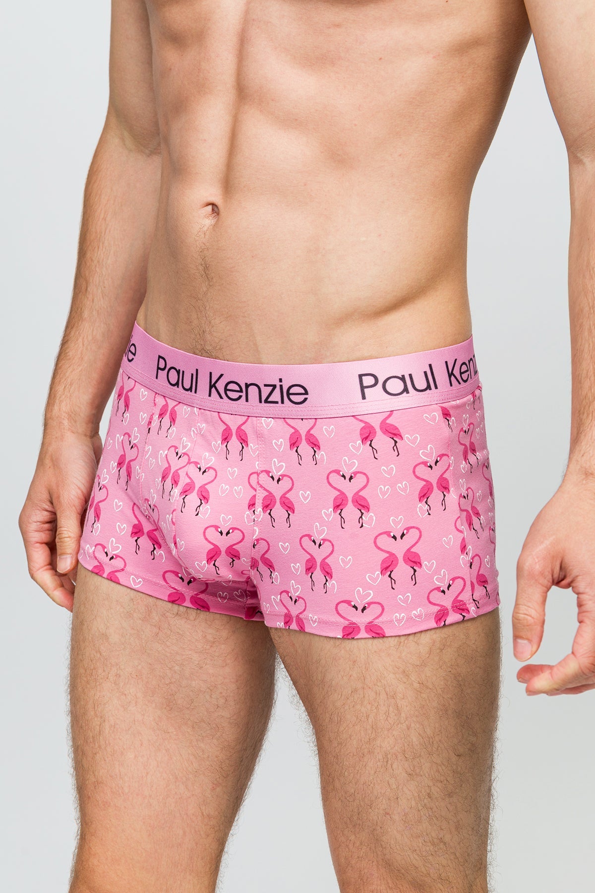 Paul Kenzie-Erkek Trunk Boxer Flovemingo-Boxer-5-Milagron.com