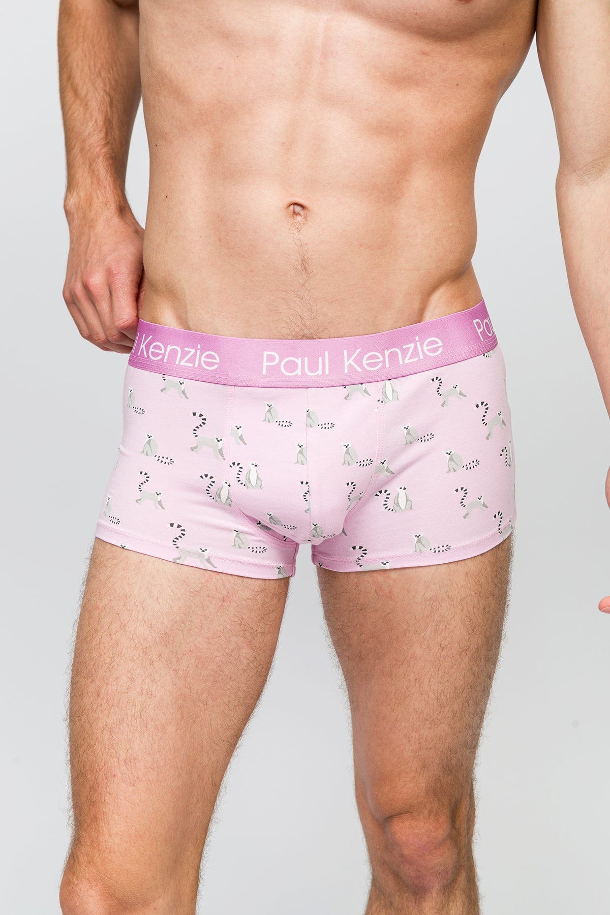 Paul Kenzie-Erkek Trunk Boxer Lemur-Boxer-4-Milagron.com