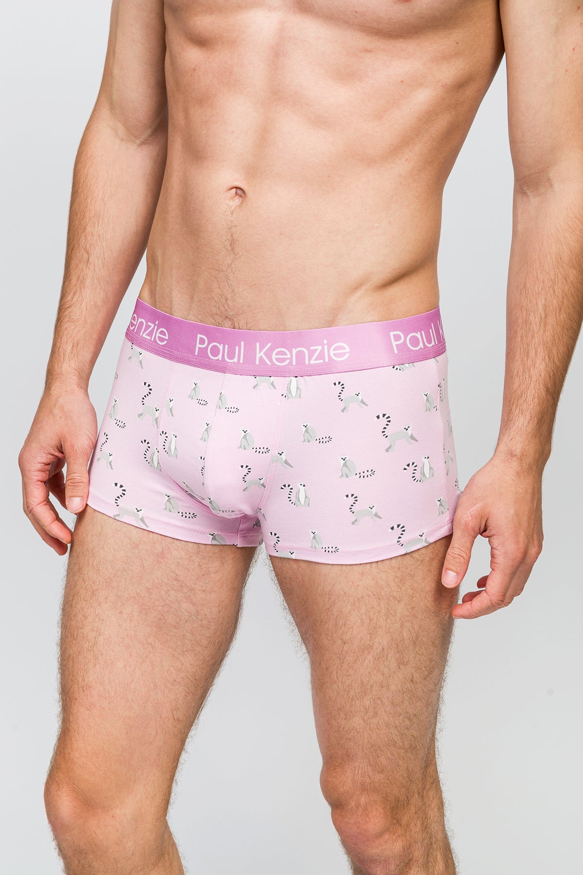 Paul Kenzie-Erkek Trunk Boxer Lemur-Boxer-5-Milagron.com