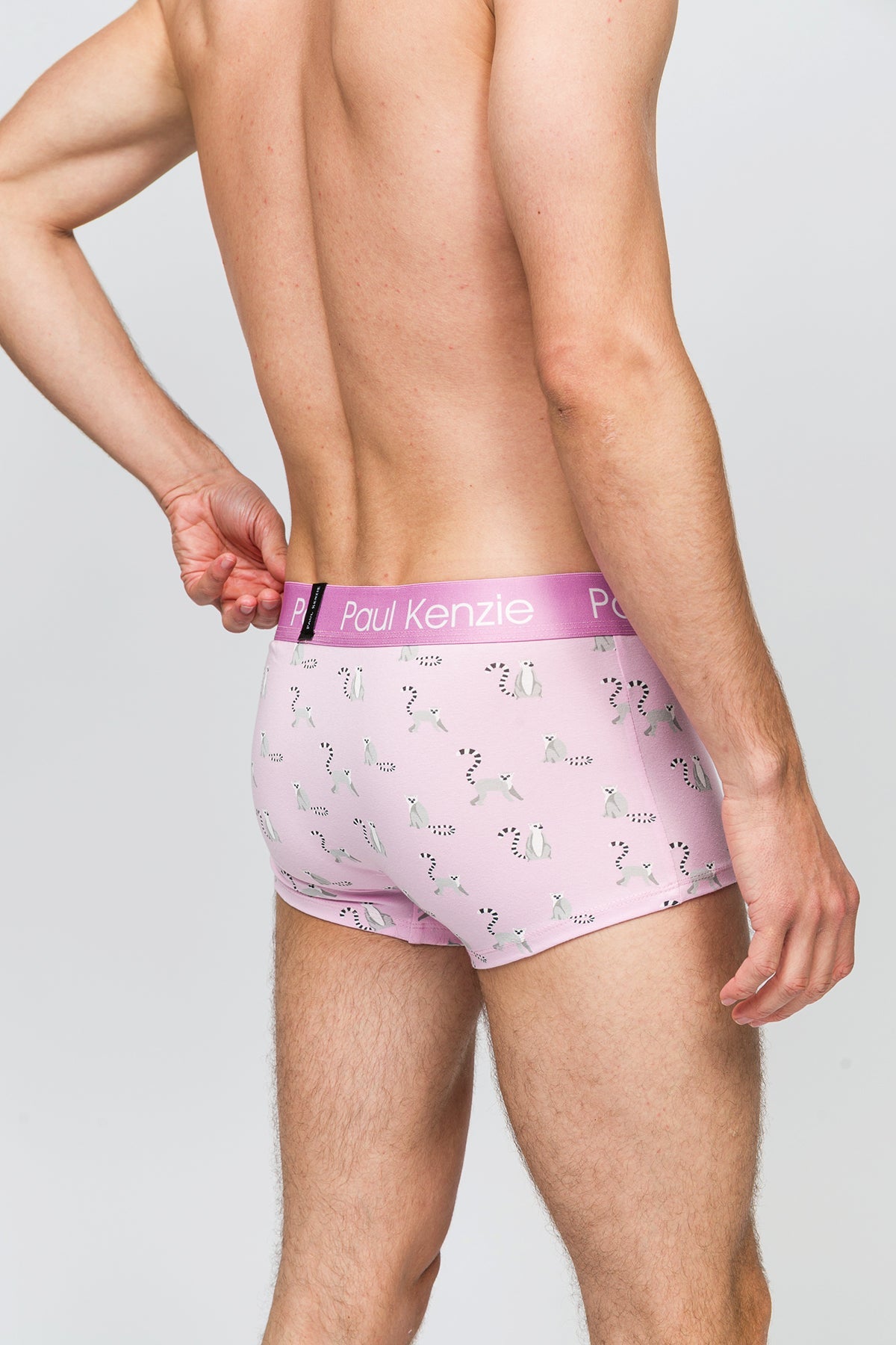 Paul Kenzie-Erkek Trunk Boxer Lemur-Boxer-6-Milagron.com