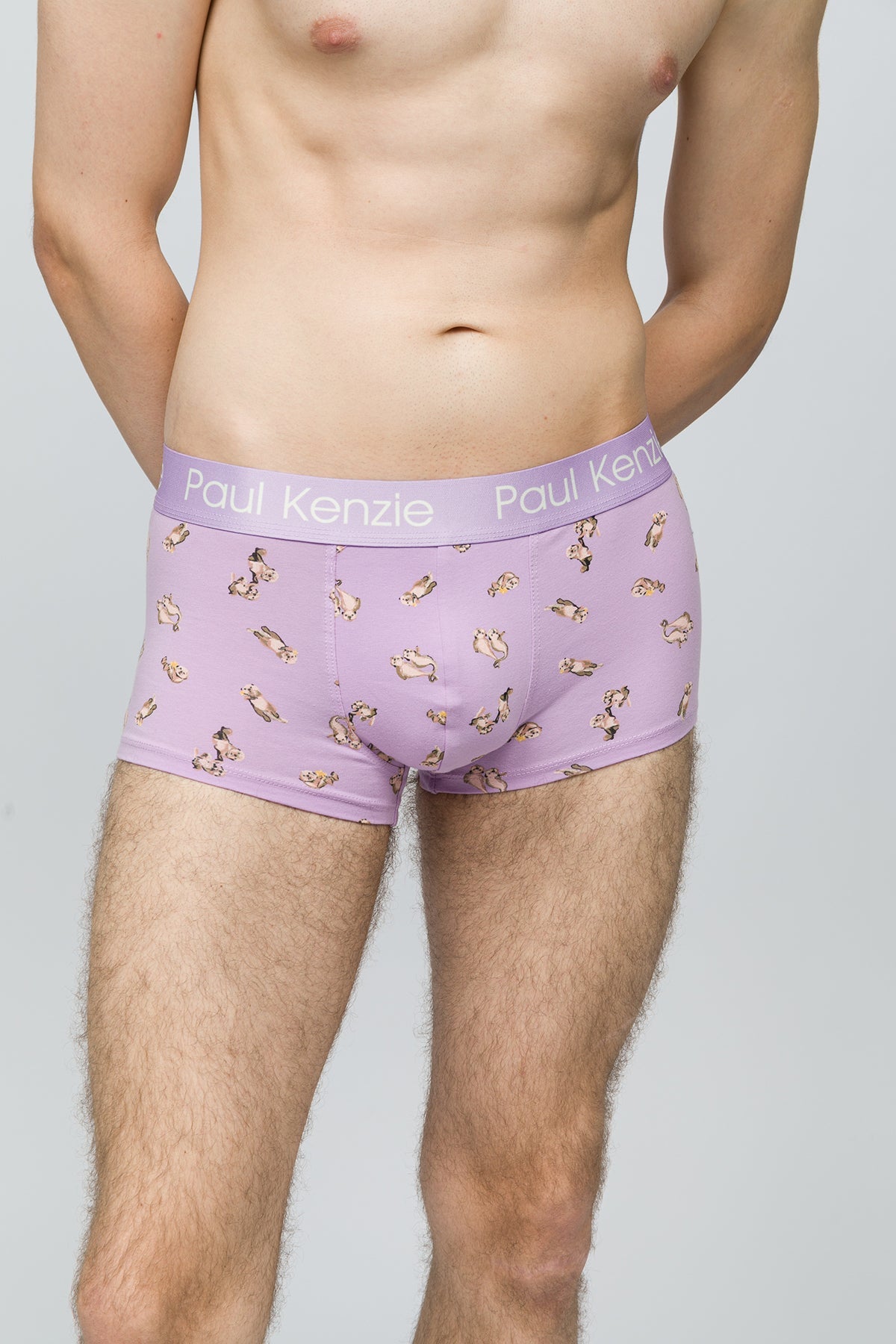 Paul Kenzie-Erkek Trunk Boxer Otter-5-Milagron.com