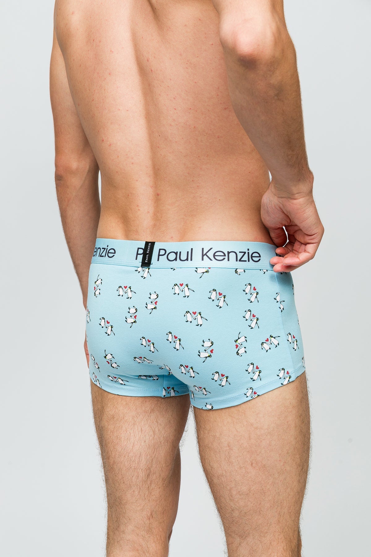 Paul Kenzie-Erkek Trunk Boxer Penguin Love-Boxer-6-Milagron.com