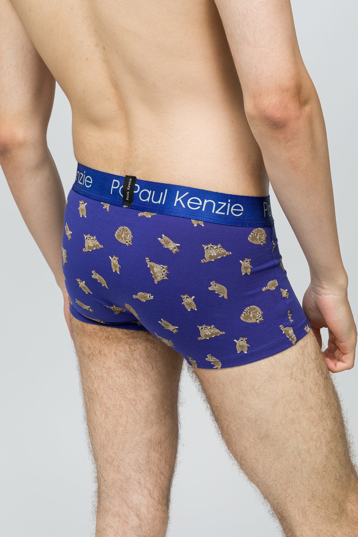 Paul Kenzie-Erkek Trunk Boxer Rakun-6-Milagron.com