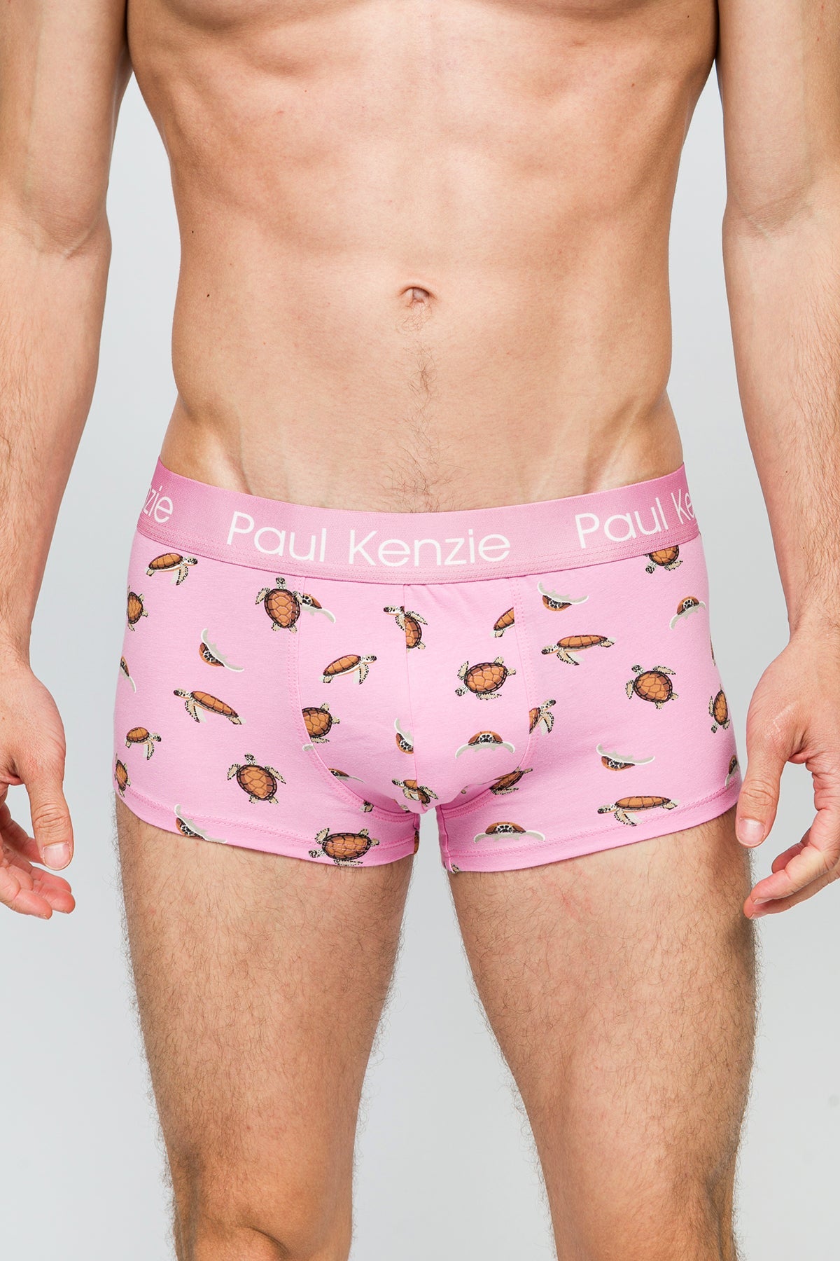 Paul Kenzie-Erkek Trunk Boxer Turtley-Boxer-5-Milagron.com