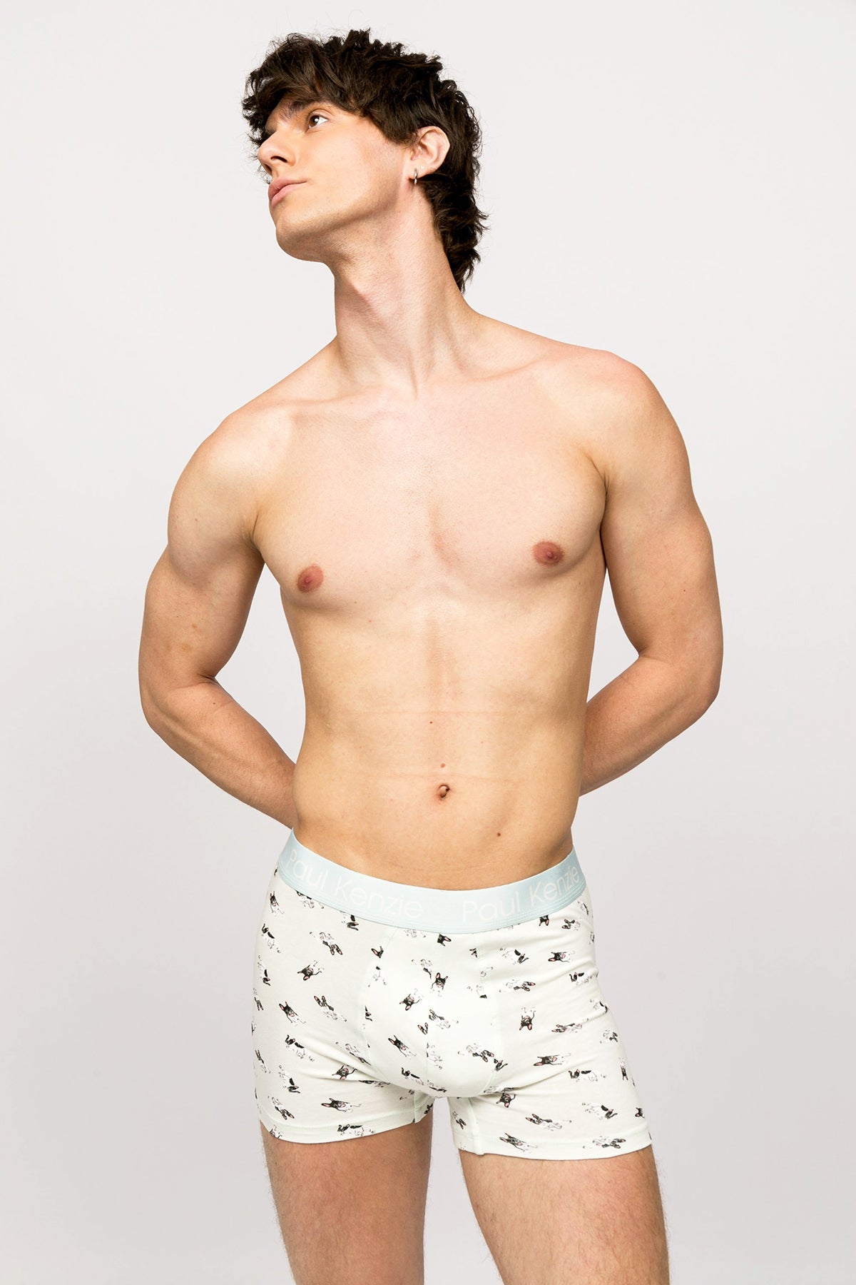 Paul Kenzie-Paul Kenzie X Kurtaran Ev Desenli Erkek Boxer Frenchie-Boxer-4-Milagron.com