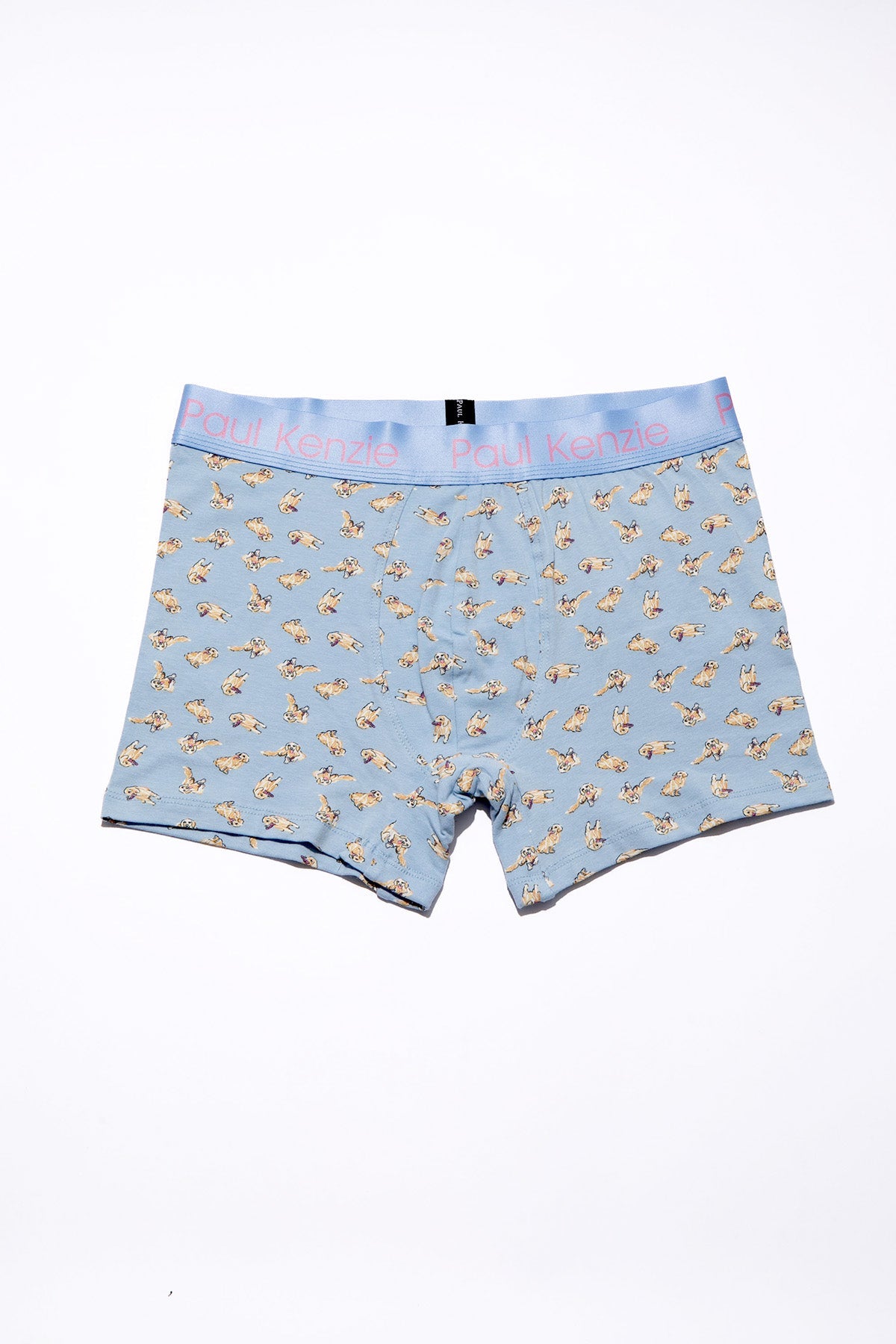 Paul Kenzie-Paul Kenzie X Kurtaran Ev Desenli Erkek Boxer Poppy-Boxer-2-Milagron.com