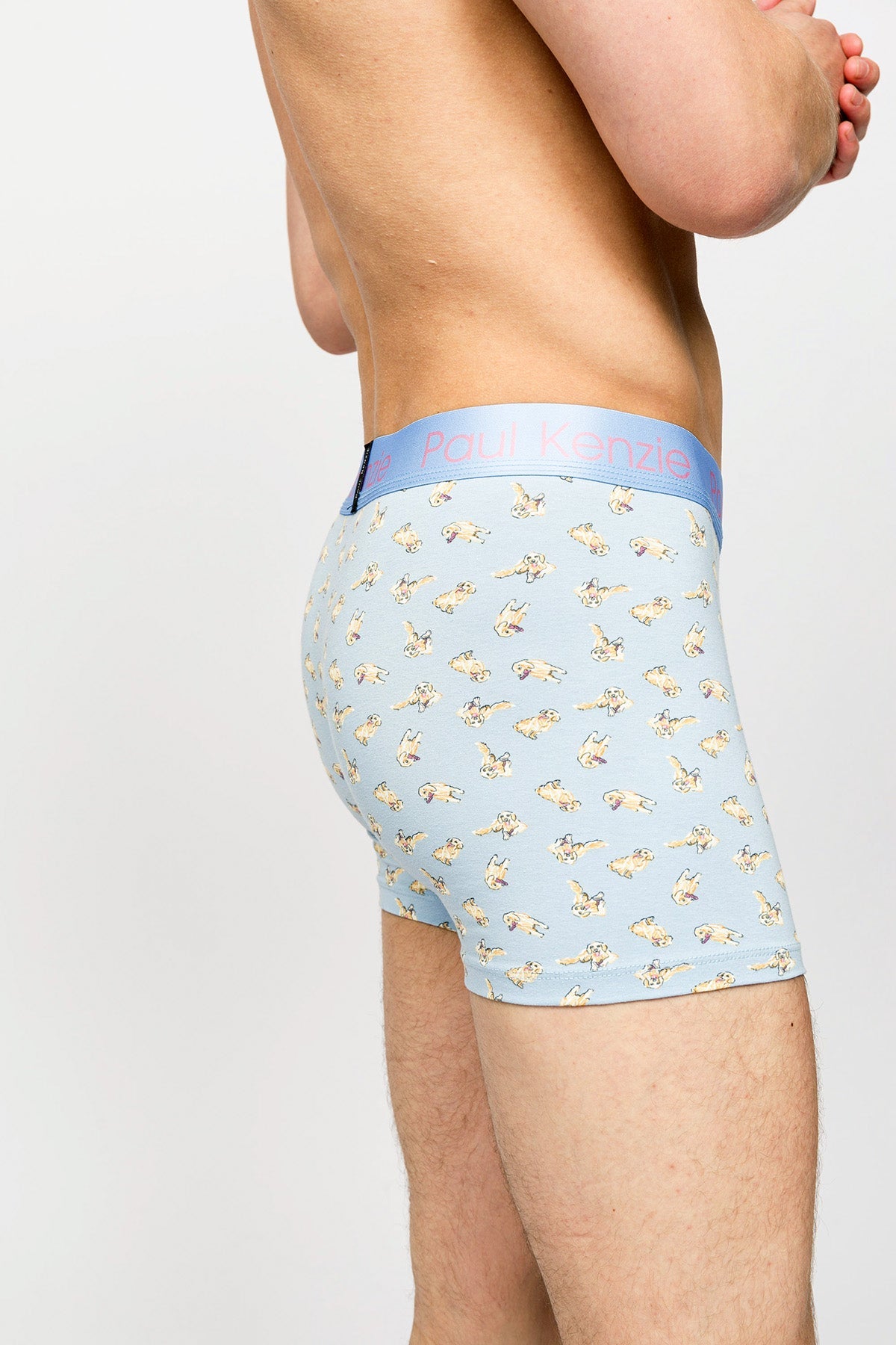 Paul Kenzie-Paul Kenzie X Kurtaran Ev Desenli Erkek Boxer Poppy-Boxer-5-Milagron.com