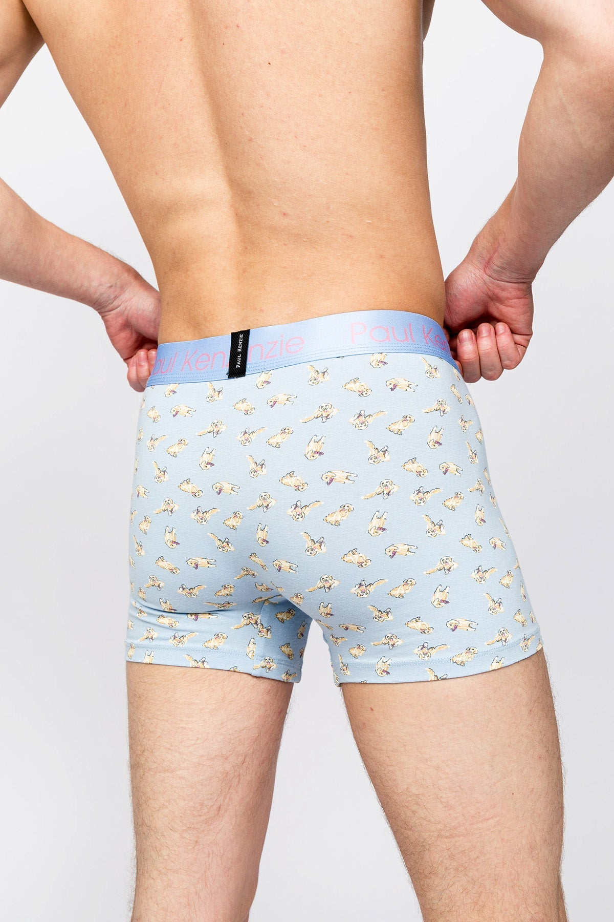 Paul Kenzie-Paul Kenzie X Kurtaran Ev Desenli Erkek Boxer Poppy-Boxer-6-Milagron.com