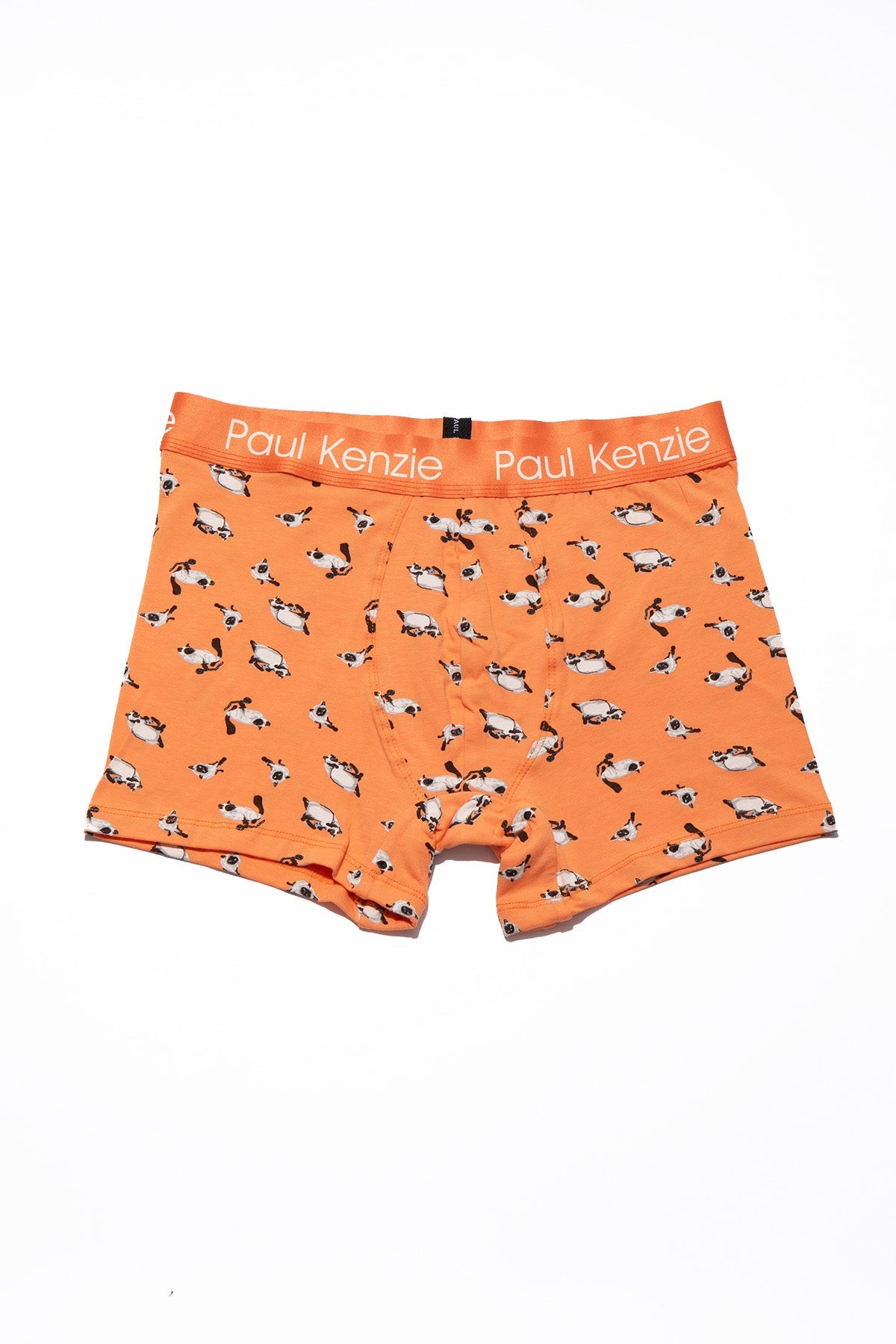 Paul Kenzie-Paul Kenzie X Kurtaran Ev Desenli Erkek Boxer Siyam-Boxer-2-Milagron.com