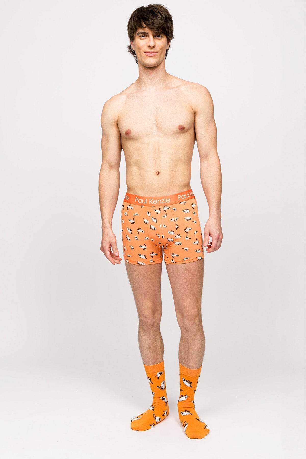 Paul Kenzie-Paul Kenzie X Kurtaran Ev Desenli Erkek Boxer Siyam-Boxer-3-Milagron.com