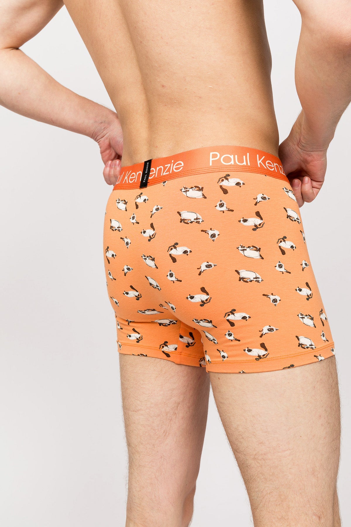 Paul Kenzie-Paul Kenzie X Kurtaran Ev Desenli Erkek Boxer Siyam-Boxer-6-Milagron.com