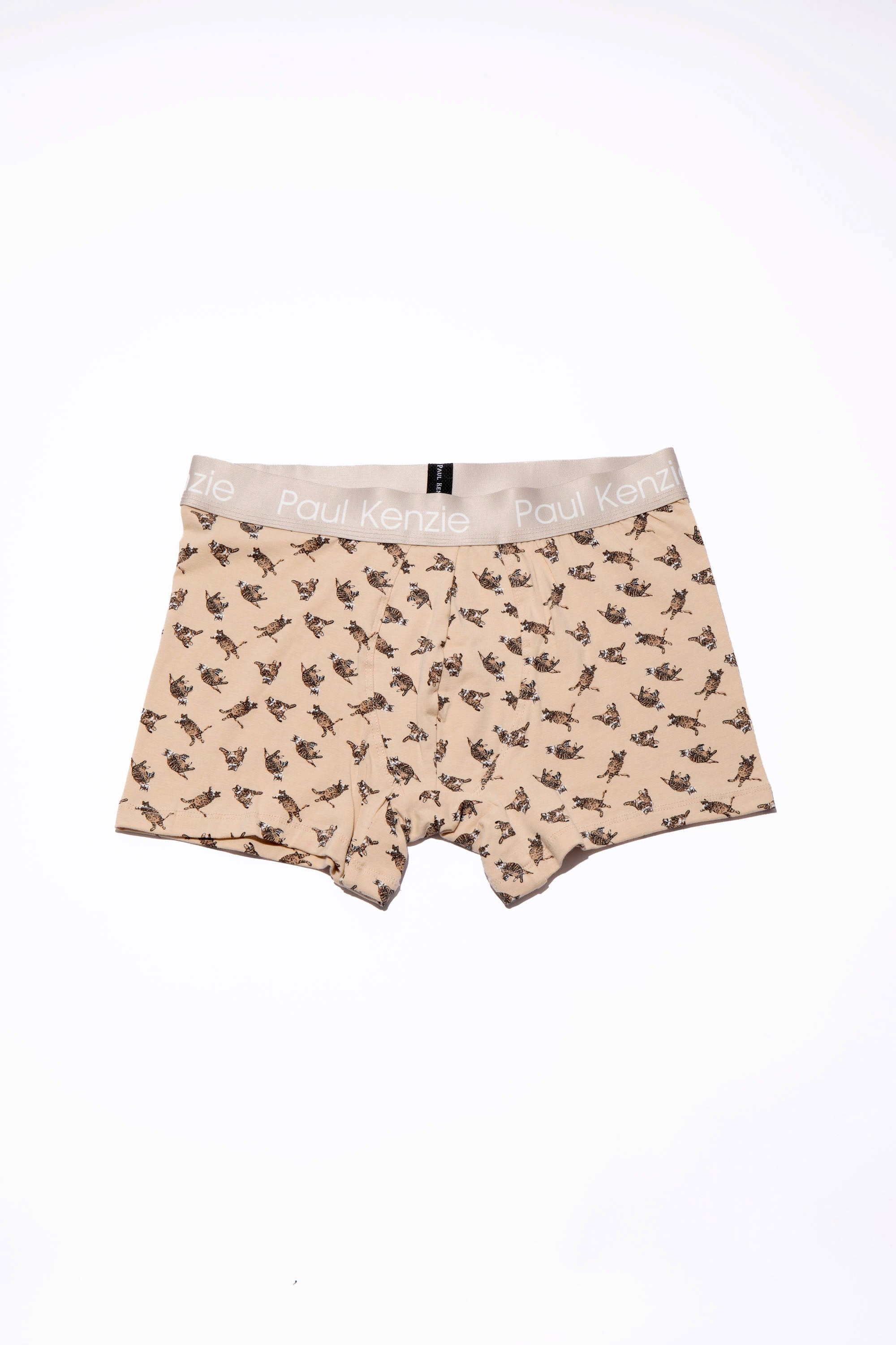 Paul Kenzie-Paul Kenzie X Kurtaran Ev Desenli Erkek Boxer Tombili-Boxer-2-Milagron.com