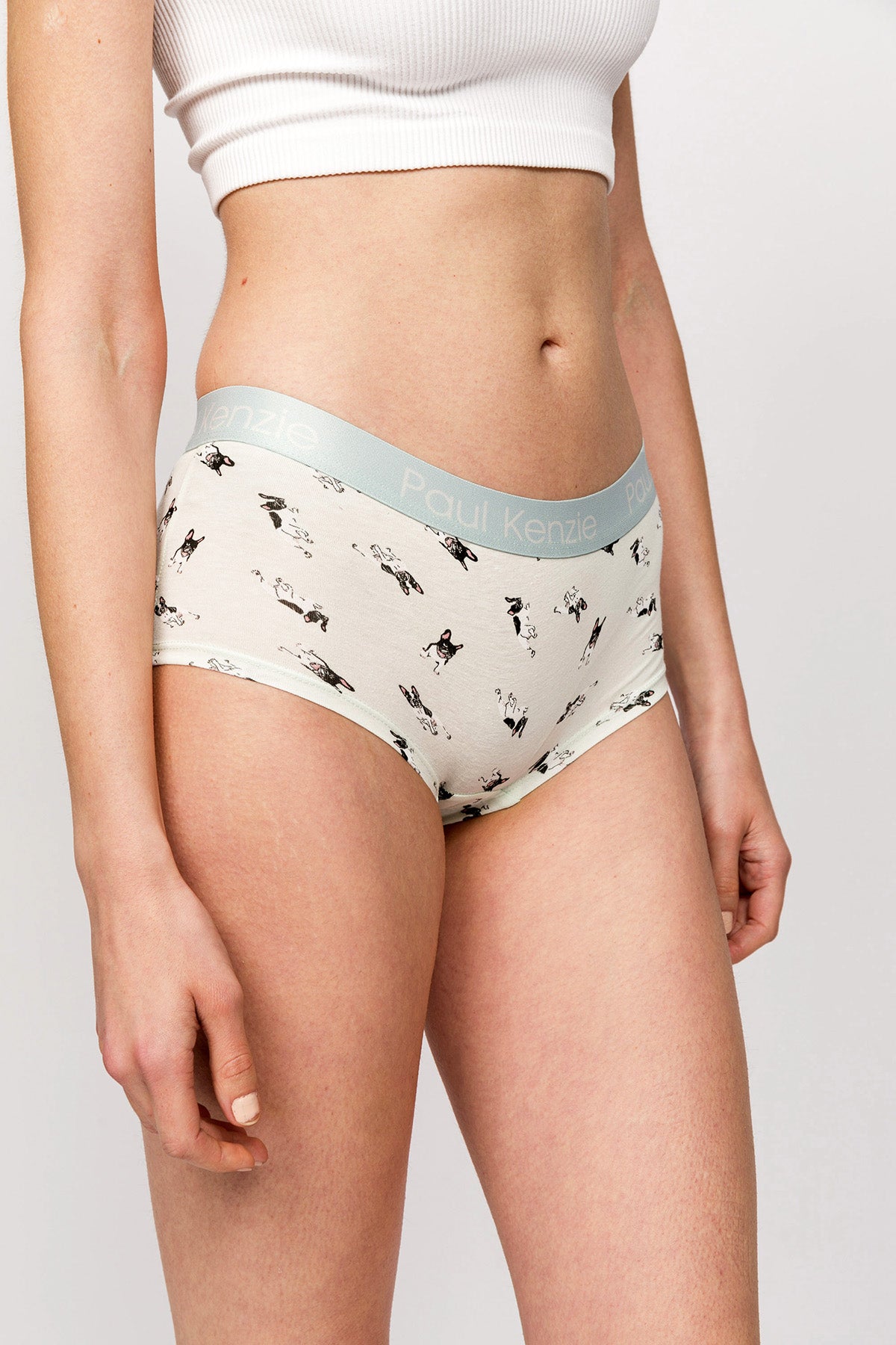 Paul Kenzie-Paul Kenzie X Kurtaran Ev Desenli Kadın Boyshort Külot Frenchie-Boyshort Külot-5-Milagron.com