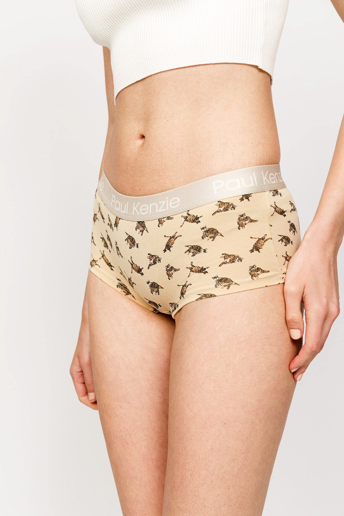 Paul Kenzie-Paul Kenzie X Kurtaran Ev Desenli Kadın Boyshort Külot Tombili-Boyshort Külot-5-Milagron.com