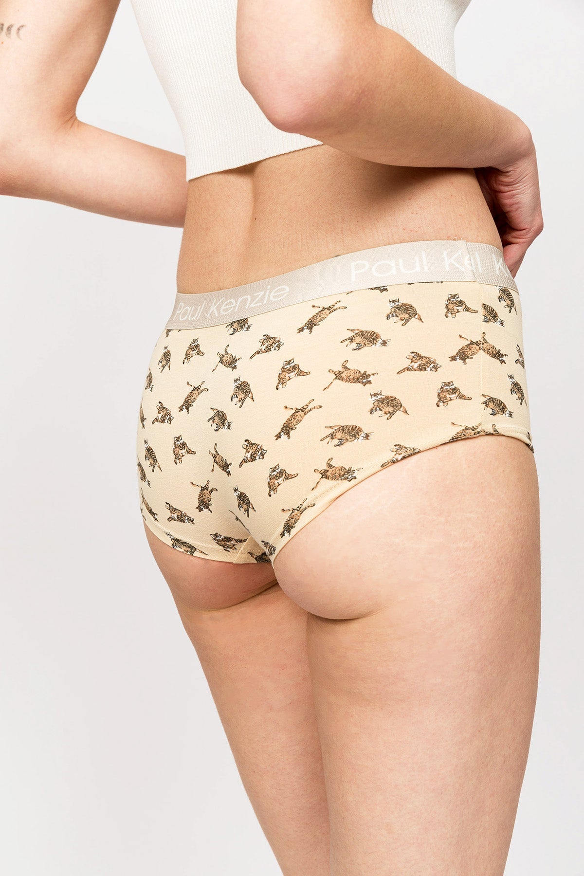 Paul Kenzie-Paul Kenzie X Kurtaran Ev Desenli Kadın Boyshort Külot Tombili-Boyshort Külot-6-Milagron.com