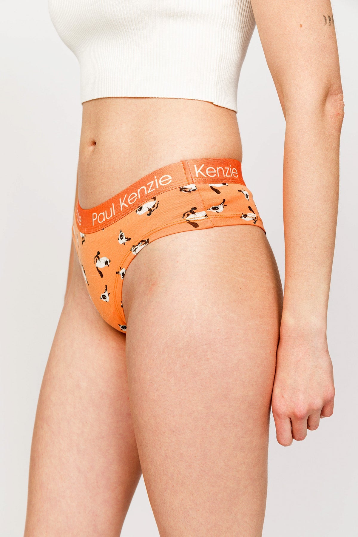 Paul Kenzie-Paul Kenzie X Kurtaran Ev Desenli Kadın Cheeky Külot Siyam-Cheeky Külot-5-Milagron.com