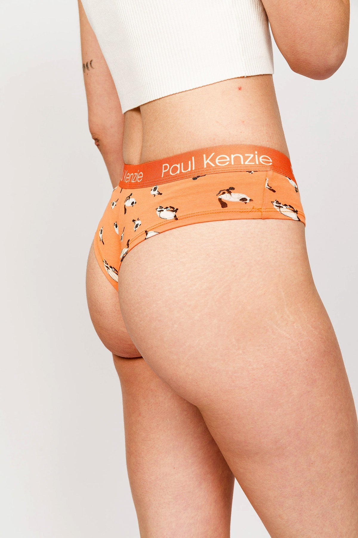 Paul Kenzie-Paul Kenzie X Kurtaran Ev Desenli Kadın Cheeky Külot Siyam-Cheeky Külot-6-Milagron.com