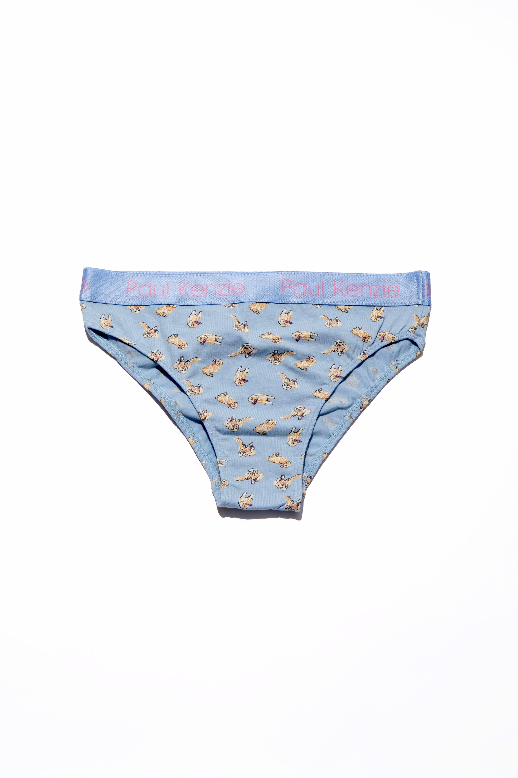 Paul Kenzie-Paul Kenzie X Kurtaran Ev Desenli Kadın Slip Külot Poppy-Slip Külot-1-Milagron.com