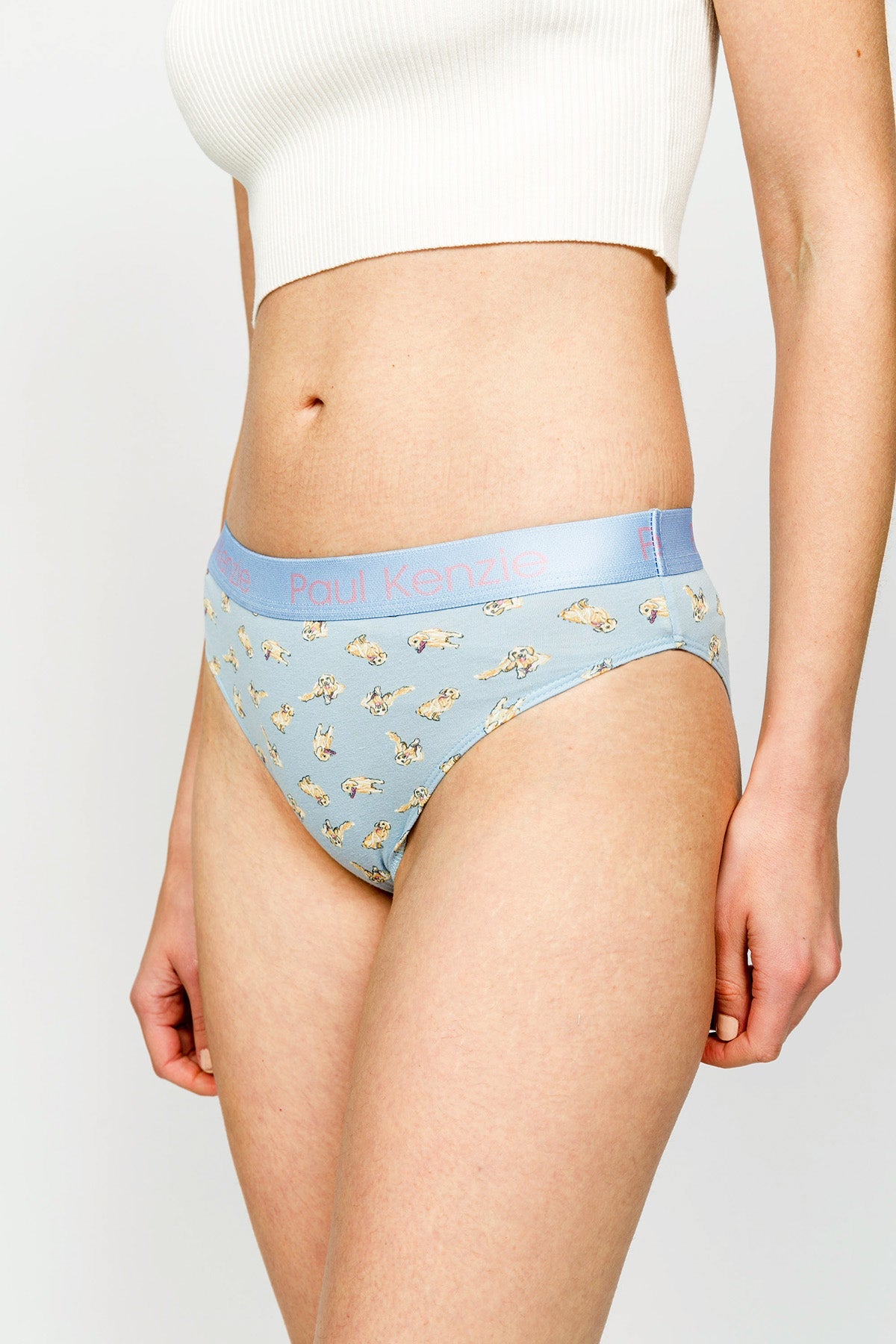 Paul Kenzie-Paul Kenzie X Kurtaran Ev Desenli Kadın Slip Külot Poppy-Slip Külot-5-Milagron.com