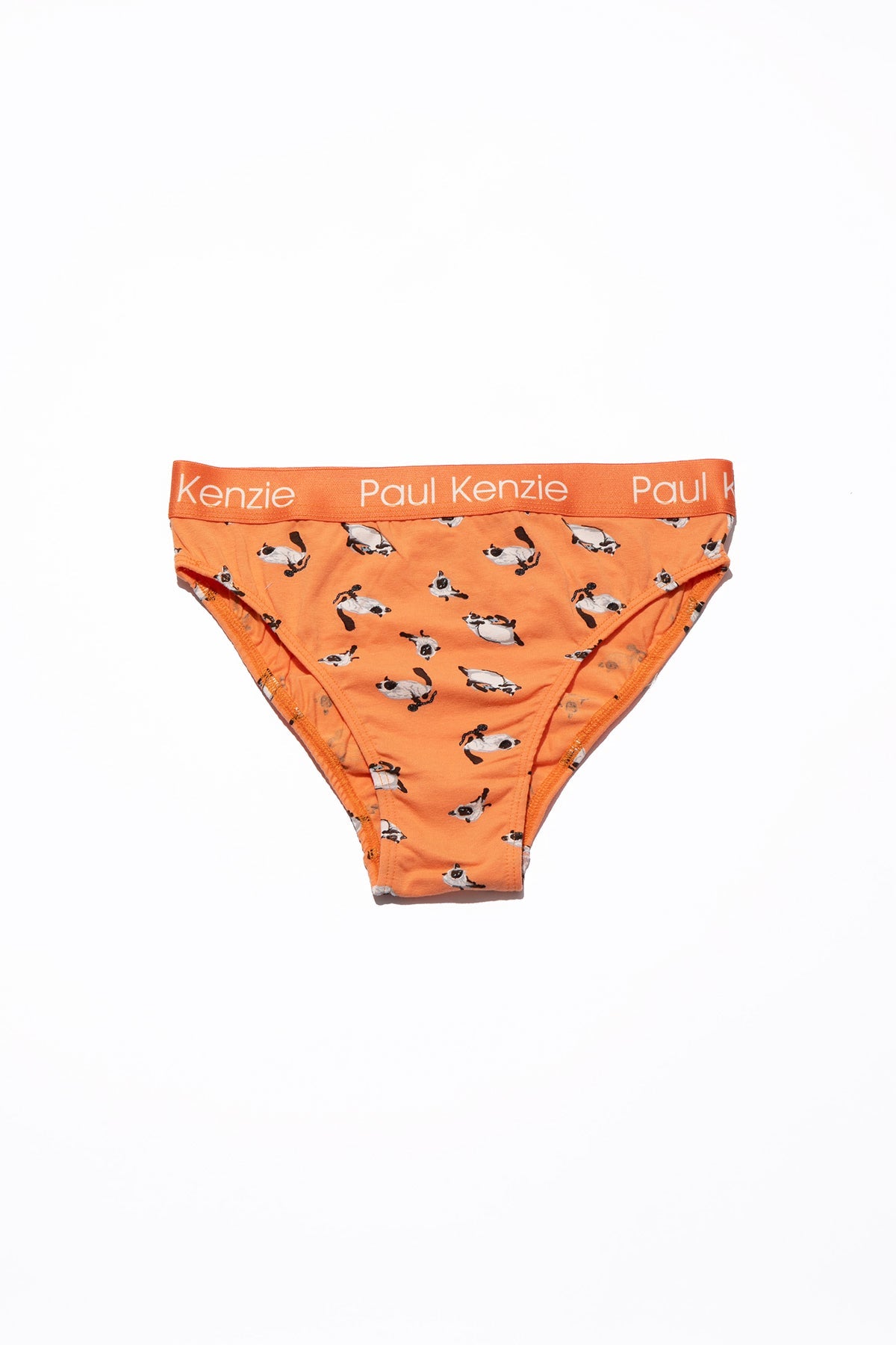 Paul Kenzie-Paul Kenzie X Kurtaran Ev Desenli Kadın Slip Külot Siyam-Slip Külot-1-Milagron.com