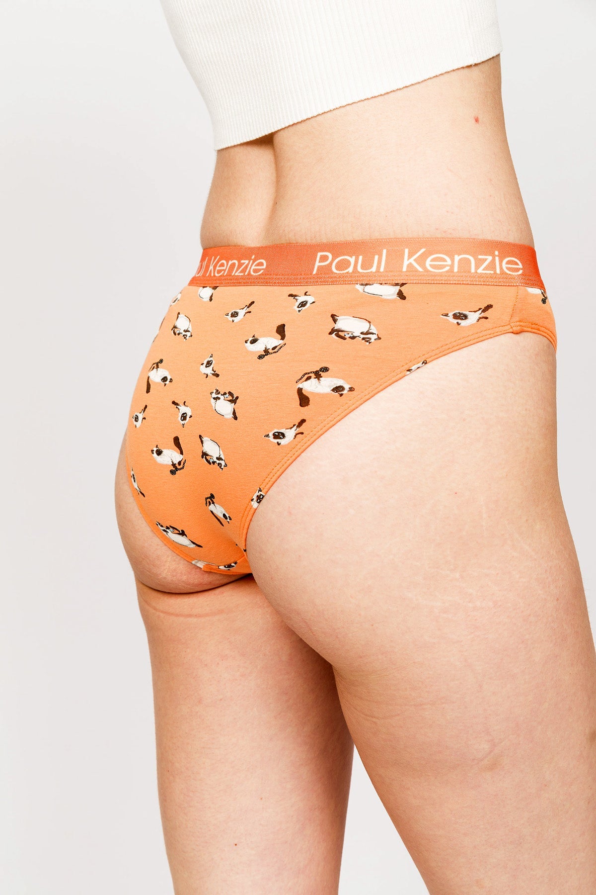 Paul Kenzie-Paul Kenzie X Kurtaran Ev Desenli Kadın Slip Külot Siyam-Slip Külot-6-Milagron.com