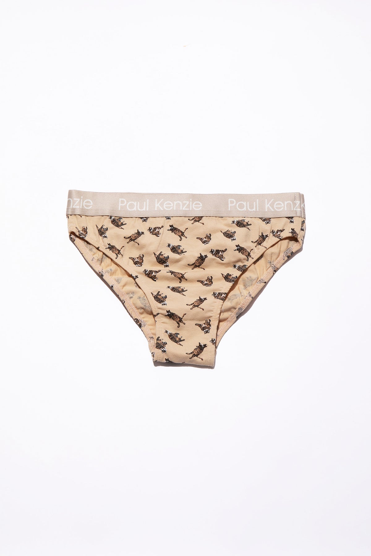 Paul Kenzie-Paul Kenzie X Kurtaran Ev Desenli Kadın Slip Külot Tombili-Slip Külot-1-Milagron.com