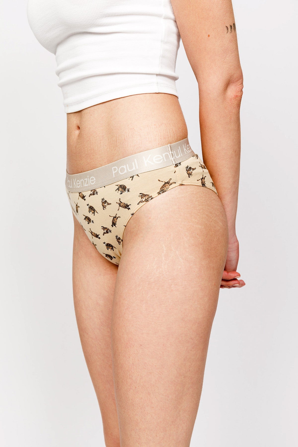 Paul Kenzie-Paul Kenzie X Kurtaran Ev Desenli Kadın Slip Külot Tombili-Slip Külot-5-Milagron.com