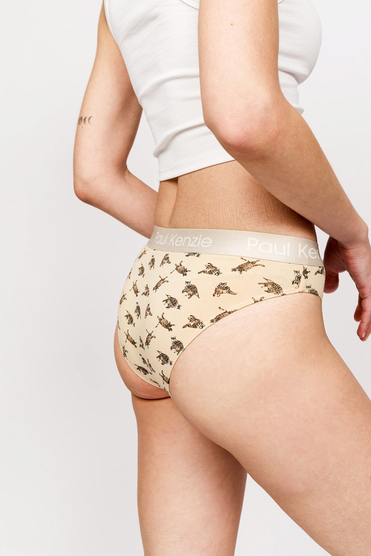 Paul Kenzie-Paul Kenzie X Kurtaran Ev Desenli Kadın Slip Külot Tombili-Slip Külot-6-Milagron.com