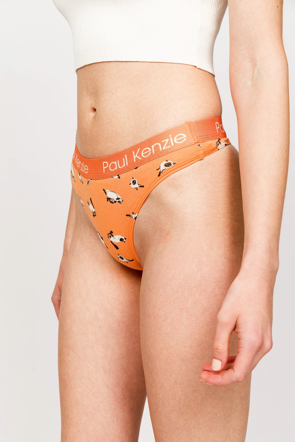 Paul Kenzie-Paul Kenzie X Kurtaran Ev Desenli Kadın String Külot Siyam-String-5-Milagron.com