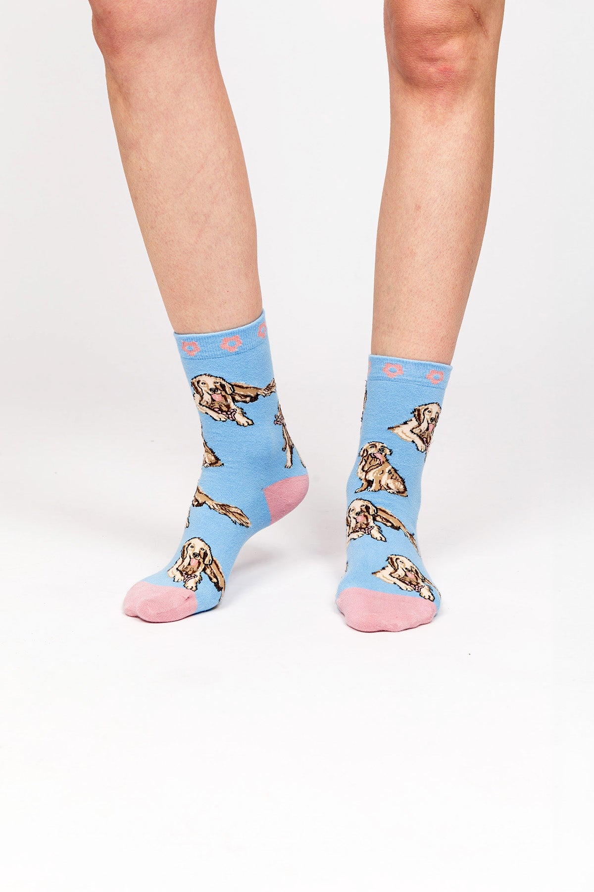 Paul Kenzie-Paul Kenzie X Kurtaran Ev Desenli Soket Çorap Poppy-Çorap-5-Milagron.com