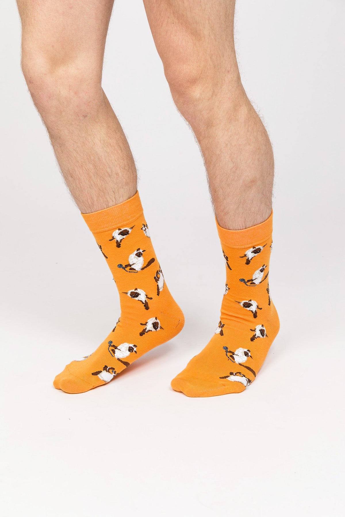 Paul Kenzie-Paul Kenzie X Kurtaran Ev Desenli Soket Çorap Siyam-Çorap-3-Milagron.com