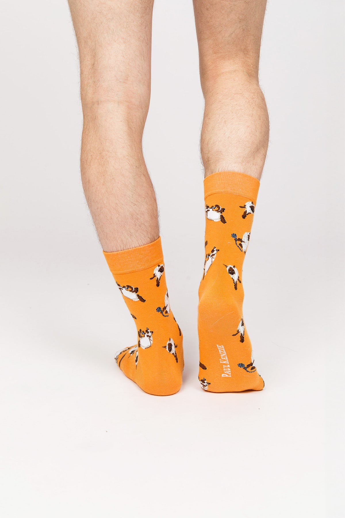 Paul Kenzie-Paul Kenzie X Kurtaran Ev Desenli Soket Çorap Siyam-Çorap-4-Milagron.com