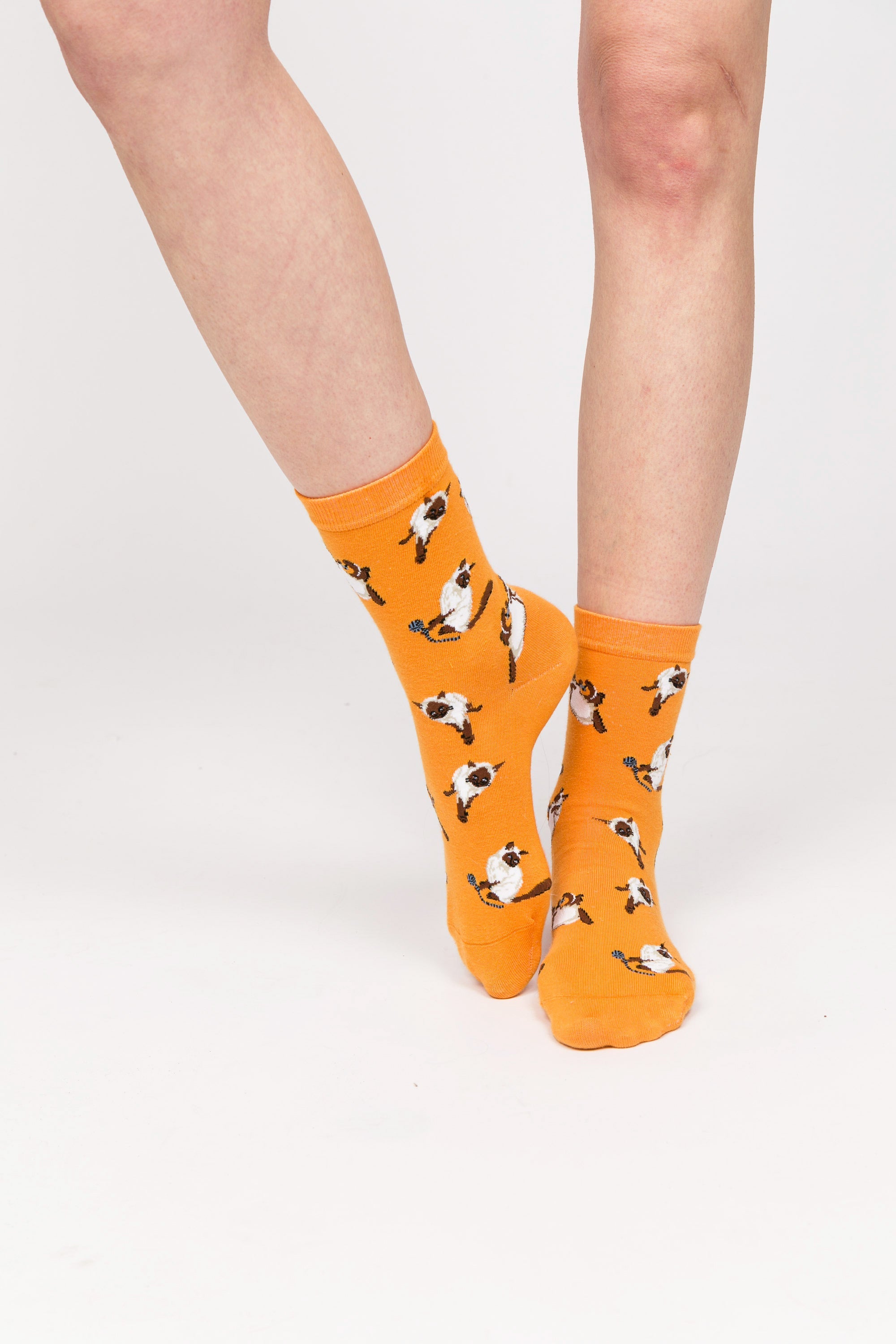 Paul Kenzie-Paul Kenzie X Kurtaran Ev Desenli Soket Çorap Siyam-Çorap-5-Milagron.com