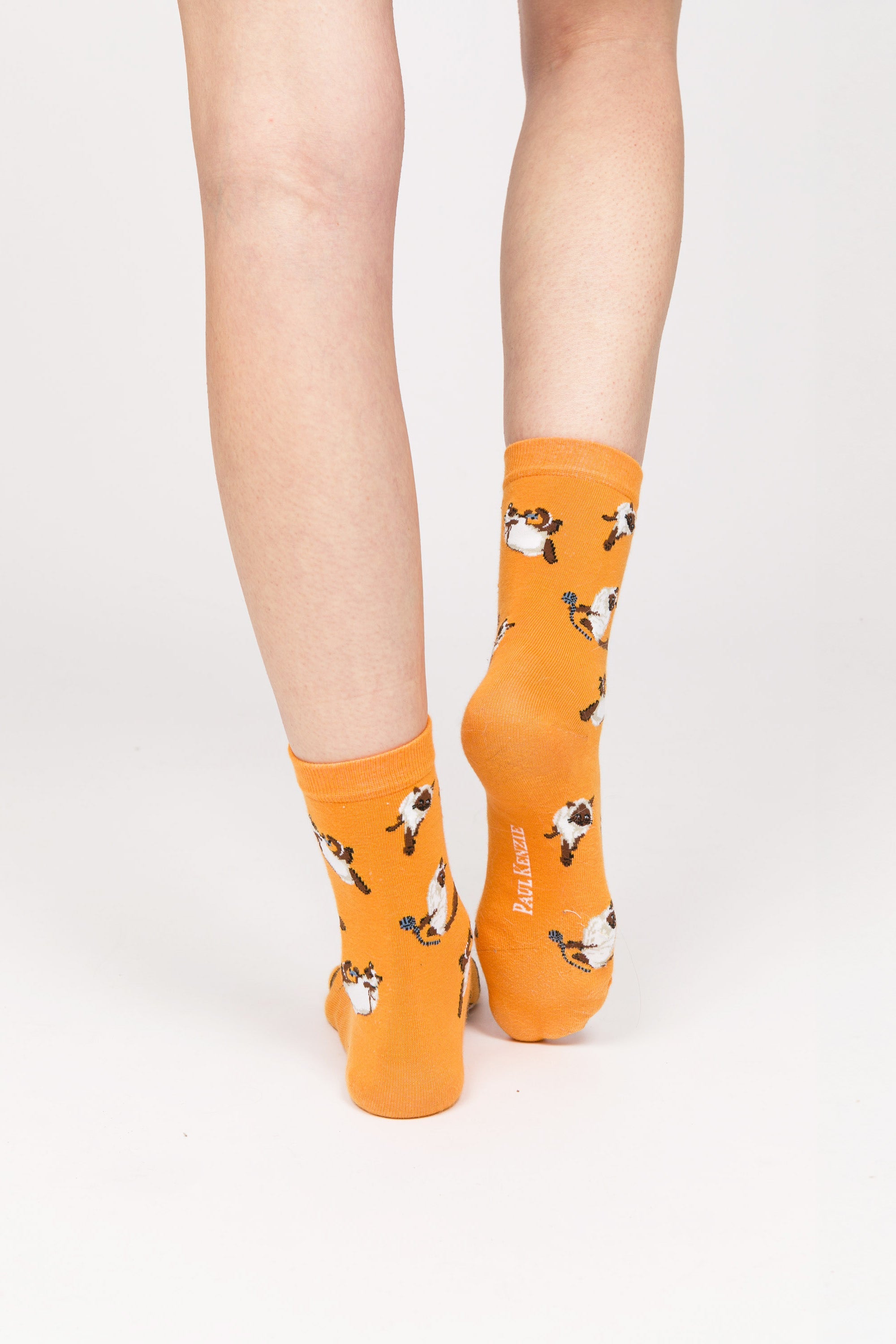 Paul Kenzie-Paul Kenzie X Kurtaran Ev Desenli Soket Çorap Siyam-Çorap-6-Milagron.com